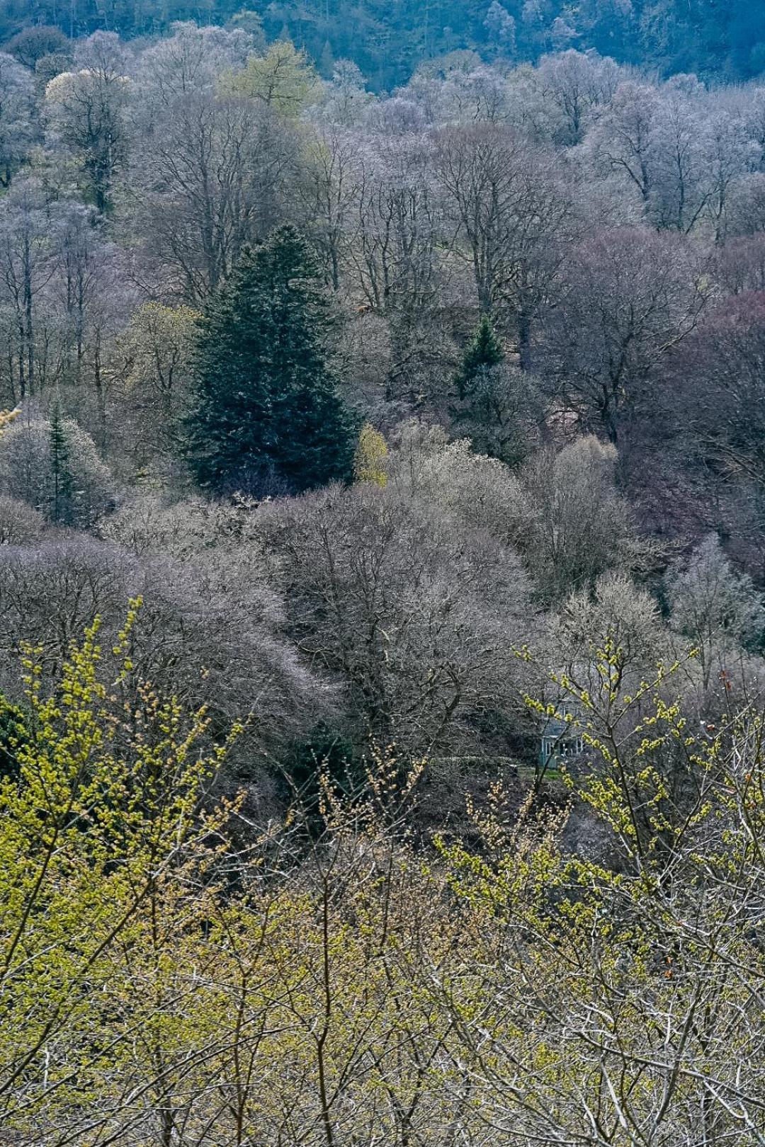 Pitlochry Youth Hostel