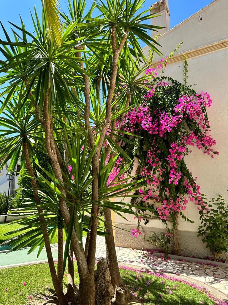 Apartamento Costa Azul Vera