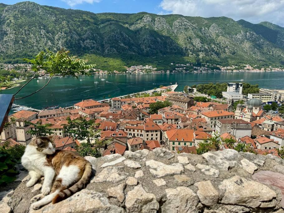 Sea Glass Kotor Bay