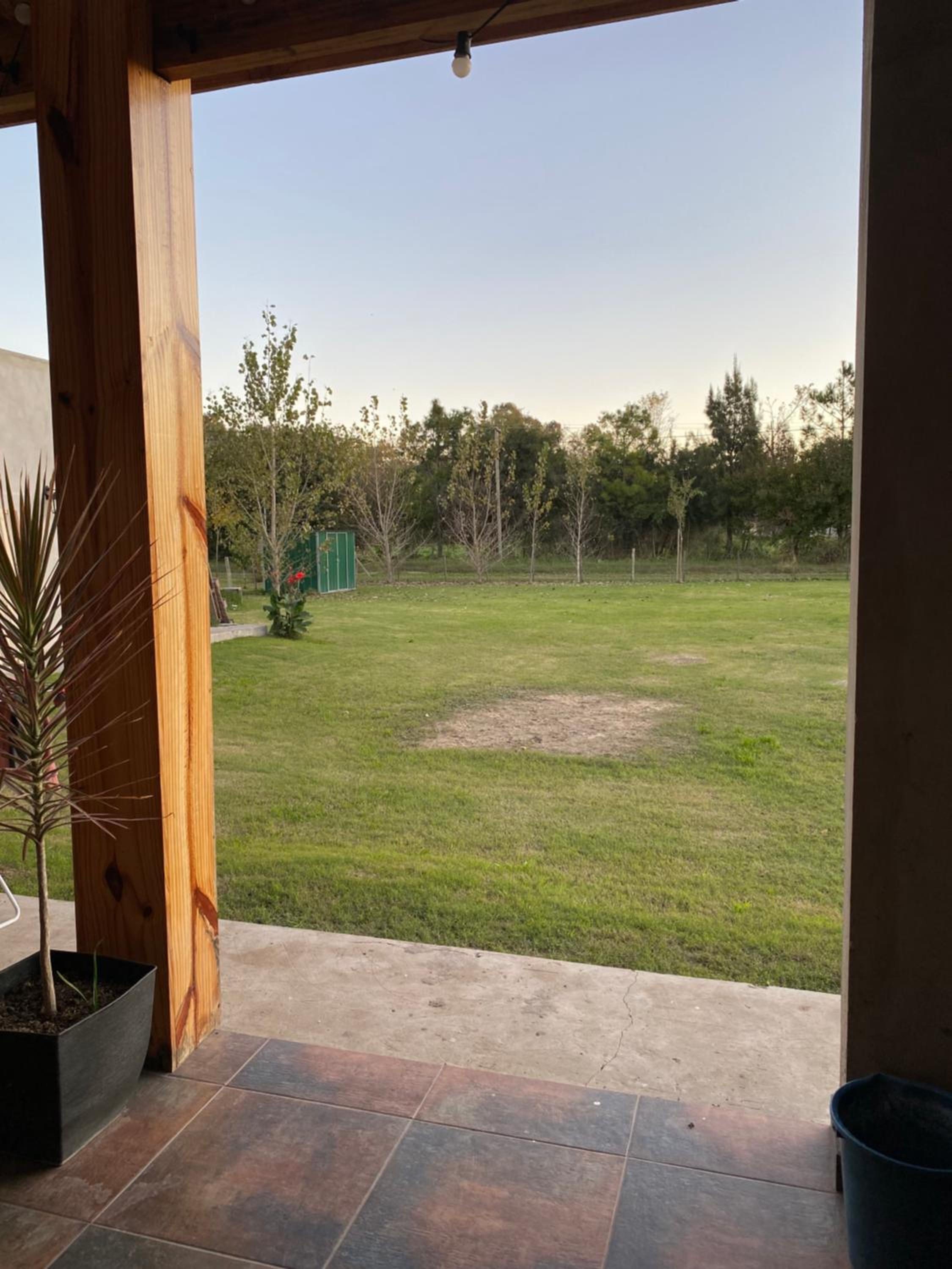La Pinocha de Ruiz