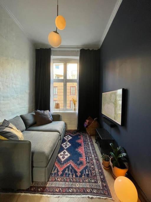Attraktiv og klassisk leilighet midt i Oslo, 80m2 view 2