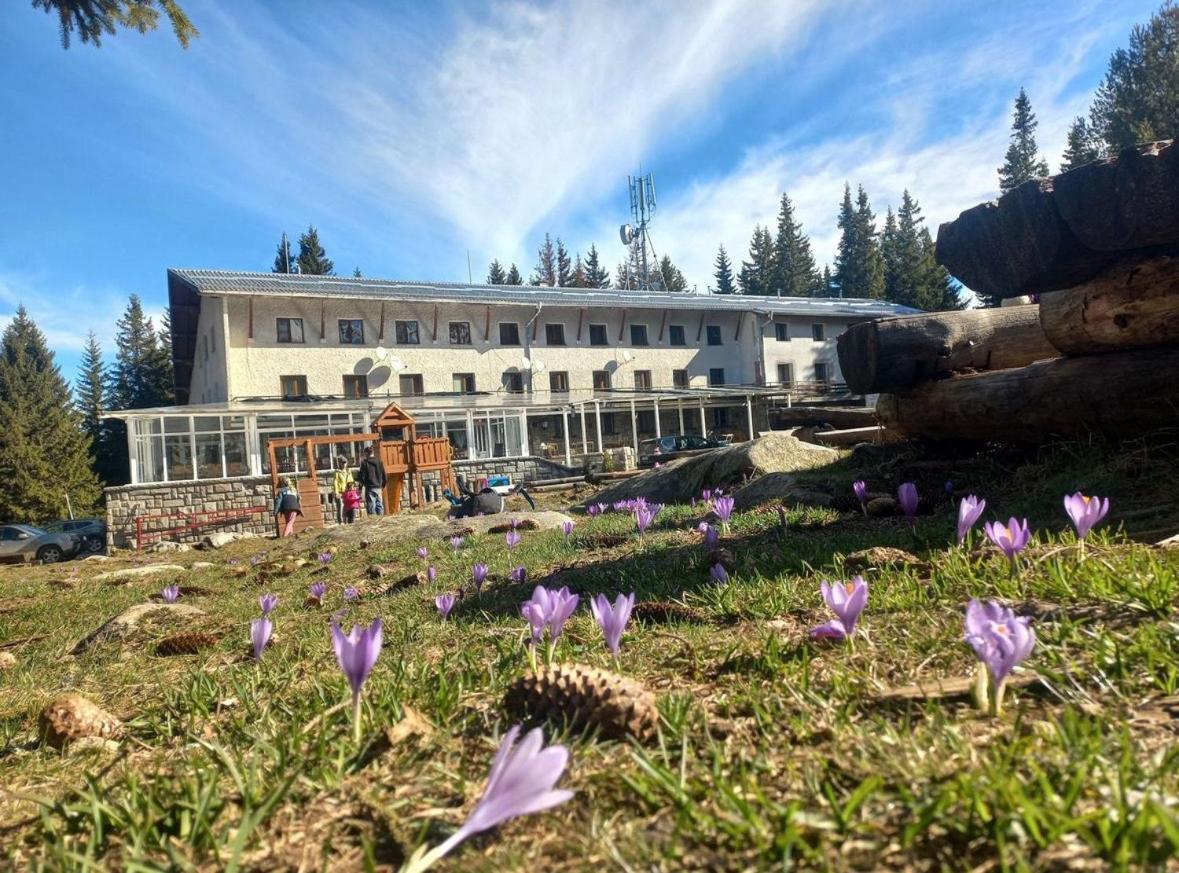 Hotel Zvezditsa Chalet - Image 1