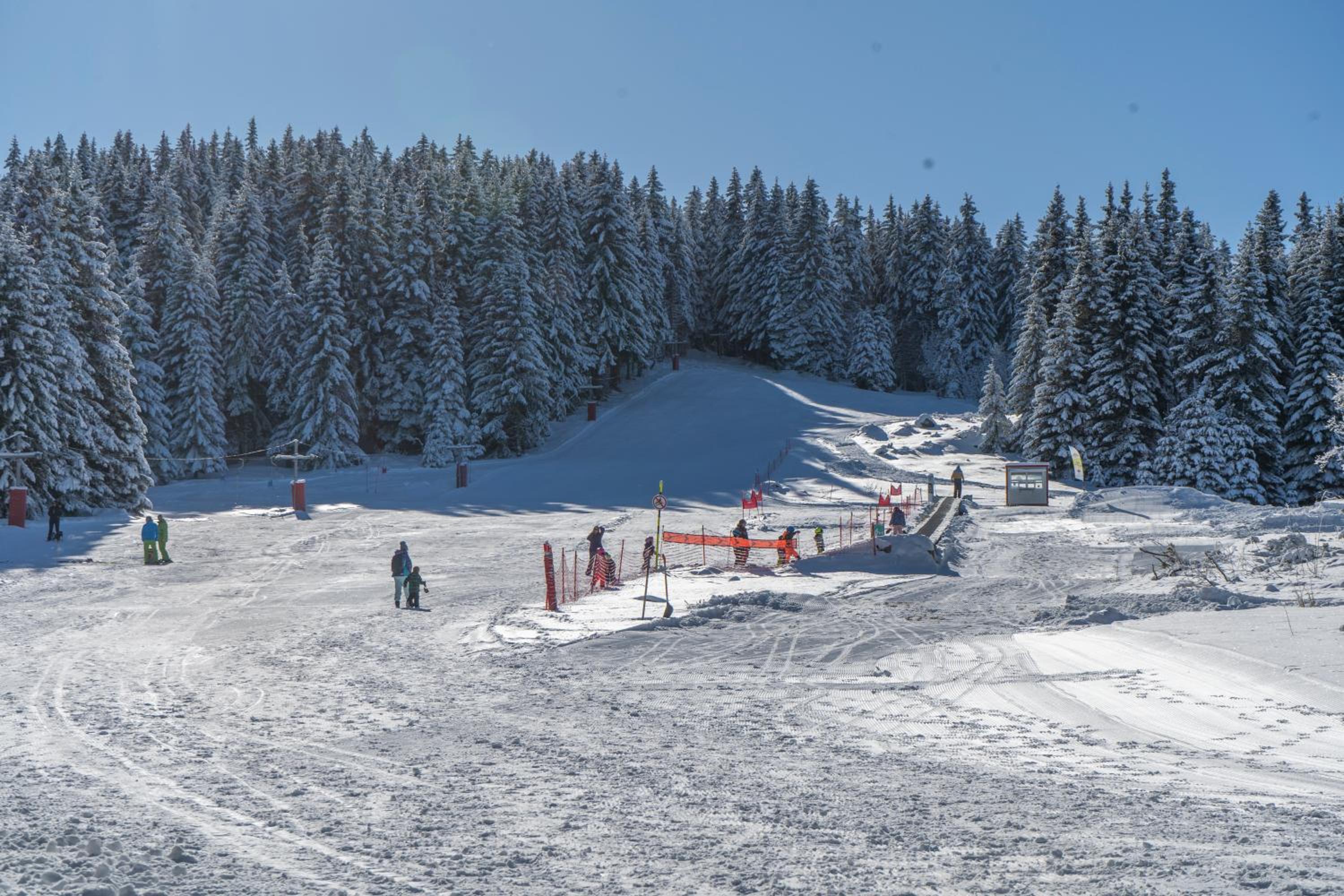 Zvezditsa Chalet