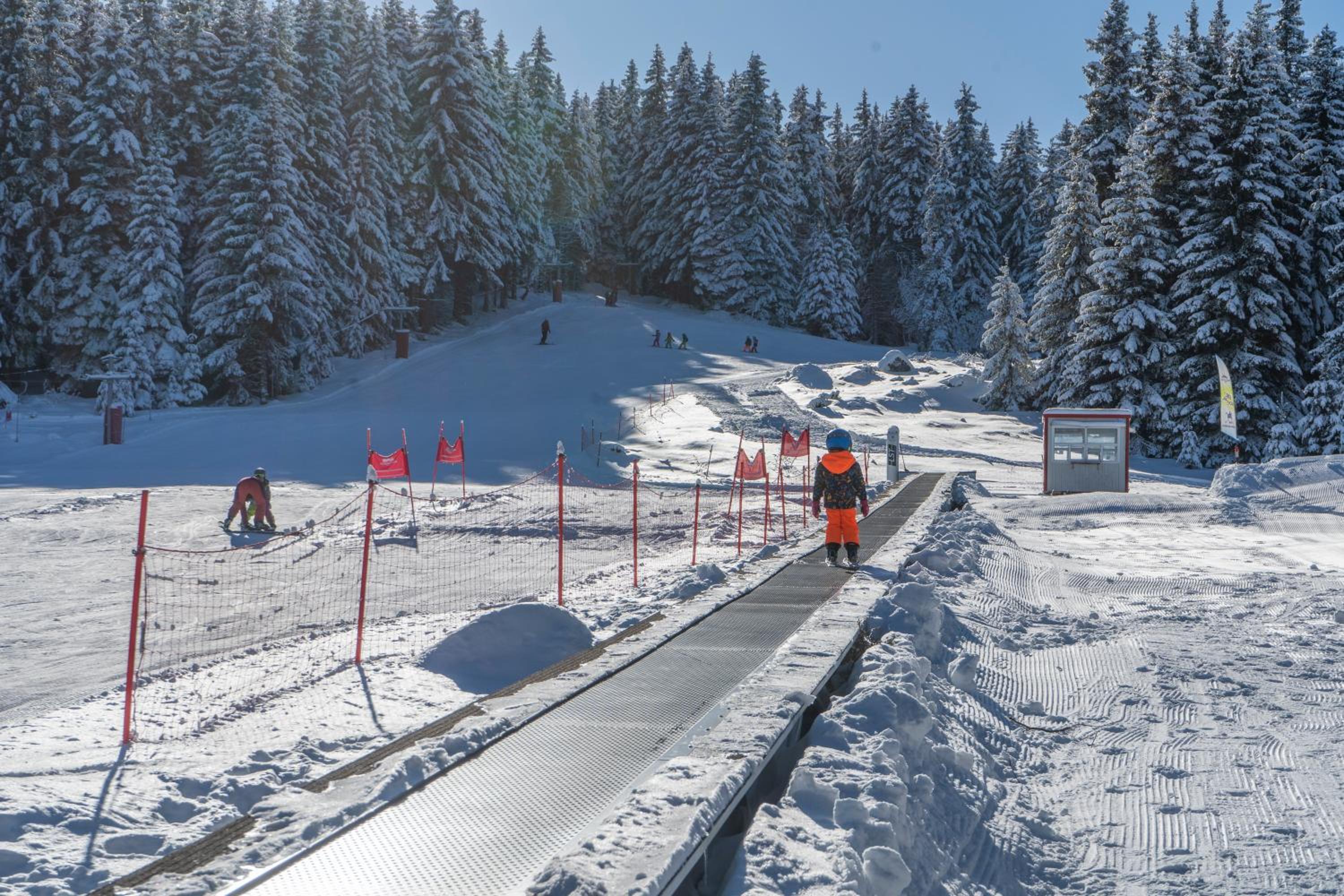 Zvezditsa Chalet