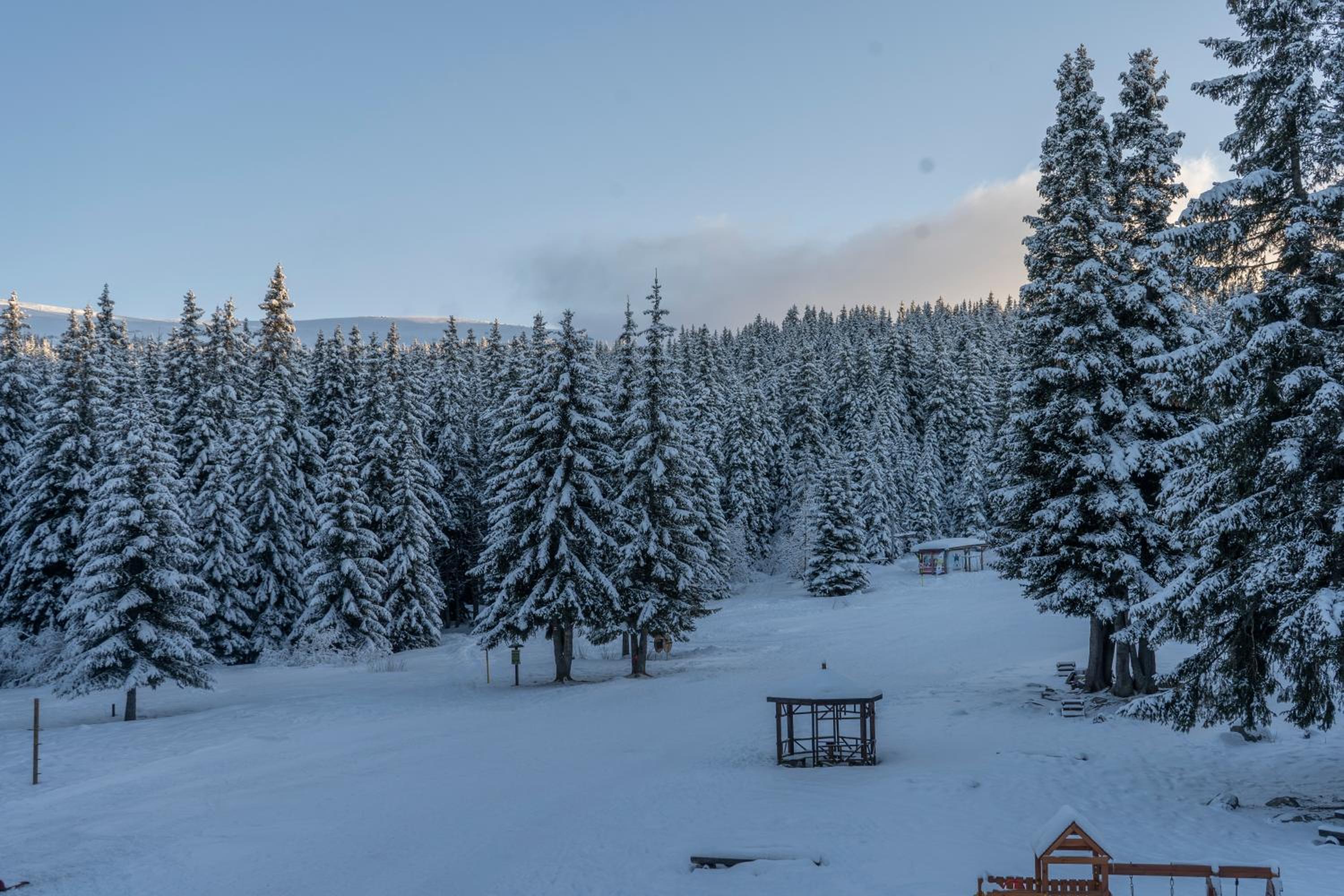 Zvezditsa Chalet