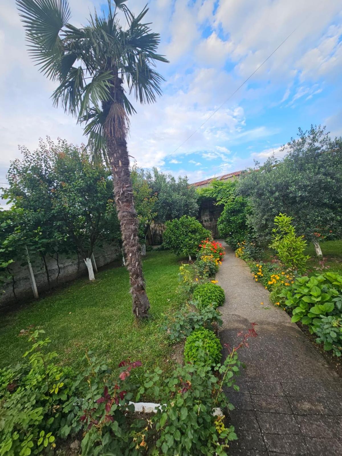 Shkoder villa relax