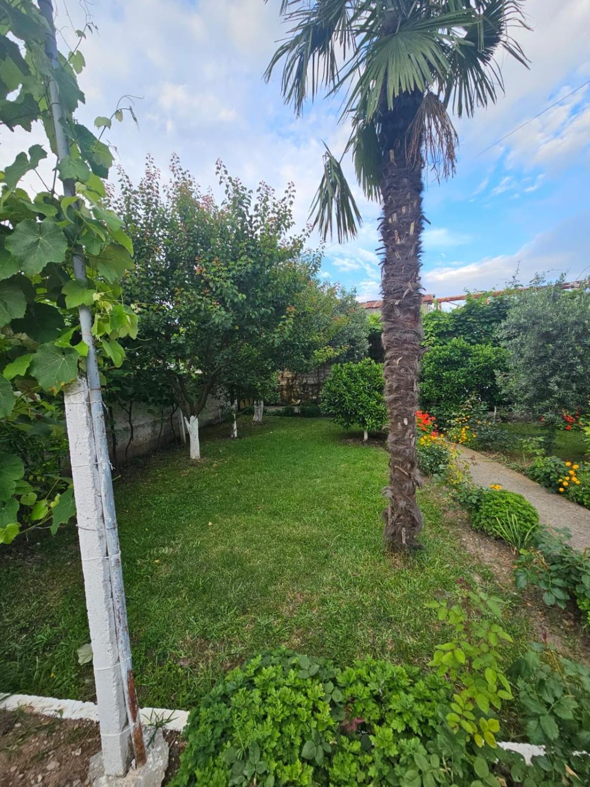 Shkoder villa relax