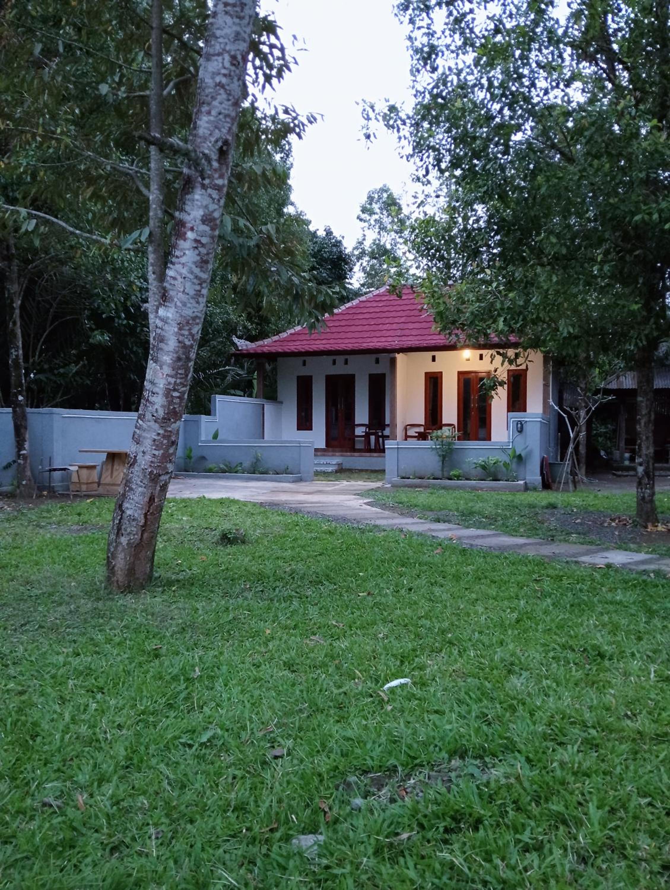 Photo 19