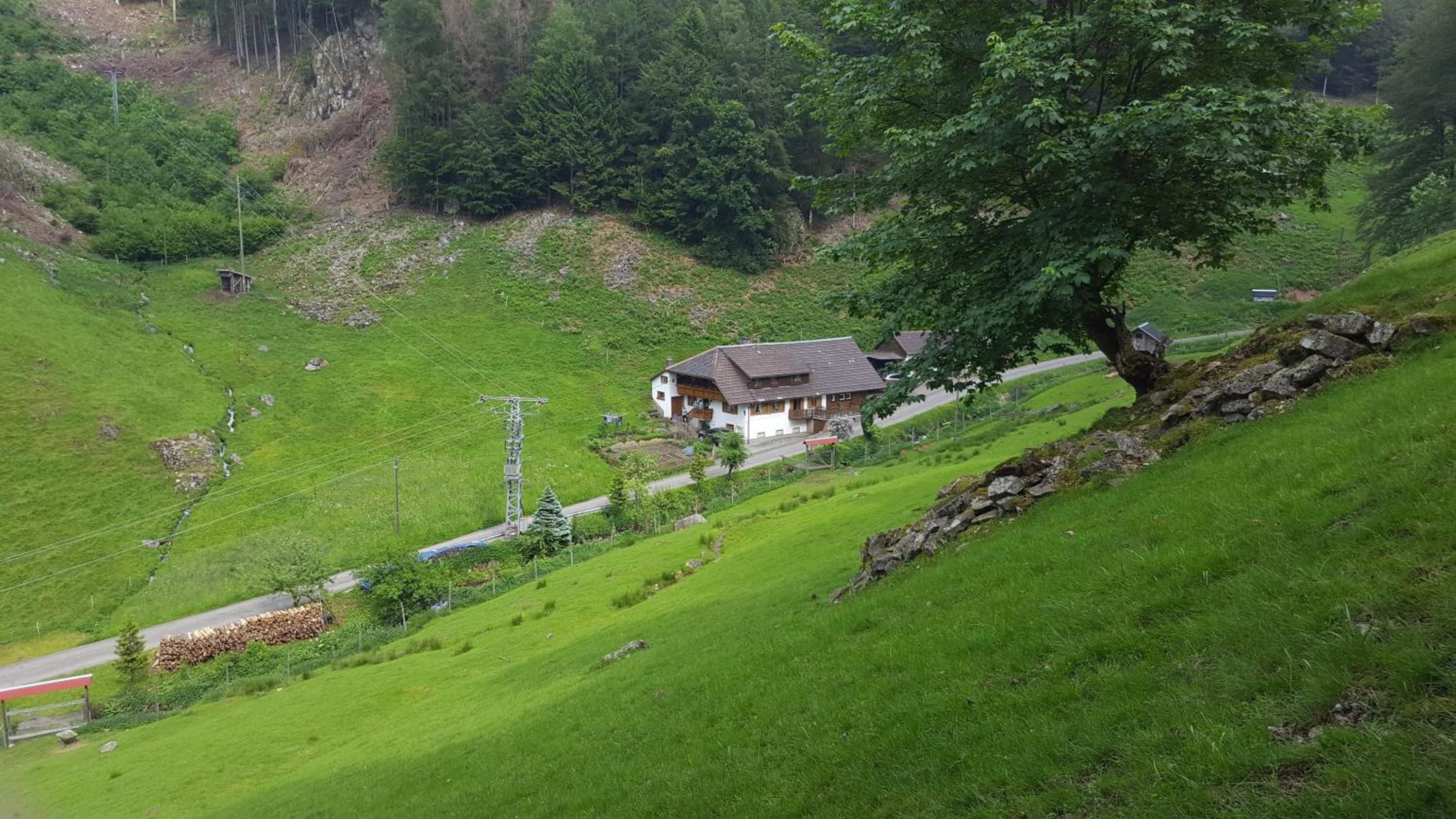 Bauernhaus im Münstertal