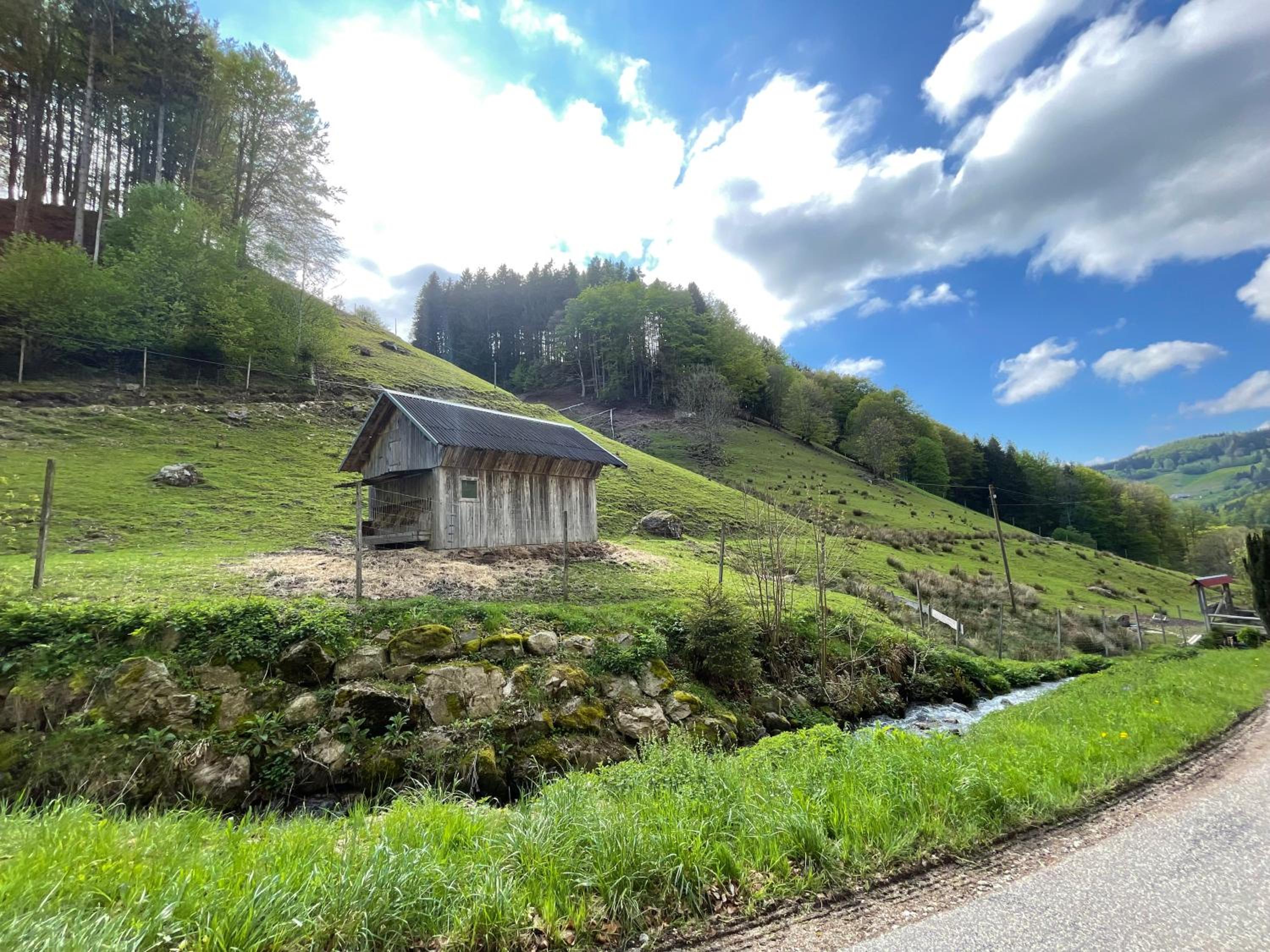 Bauernhaus im Münstertal