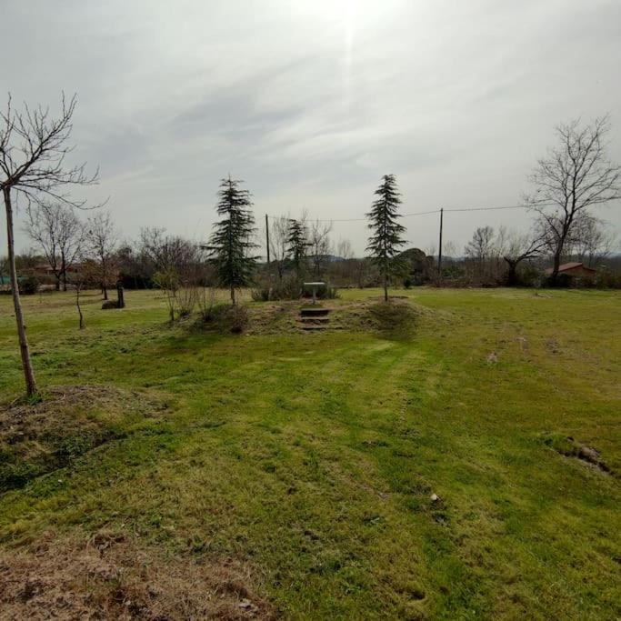 Photo 25