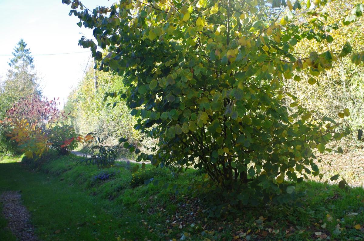 Photo 52