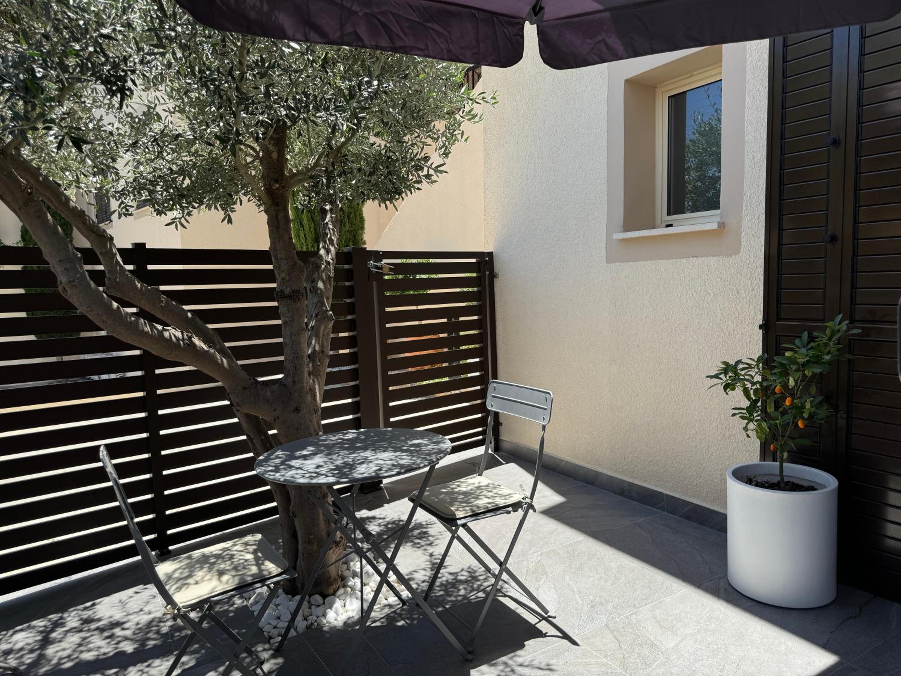 Olive Apartment