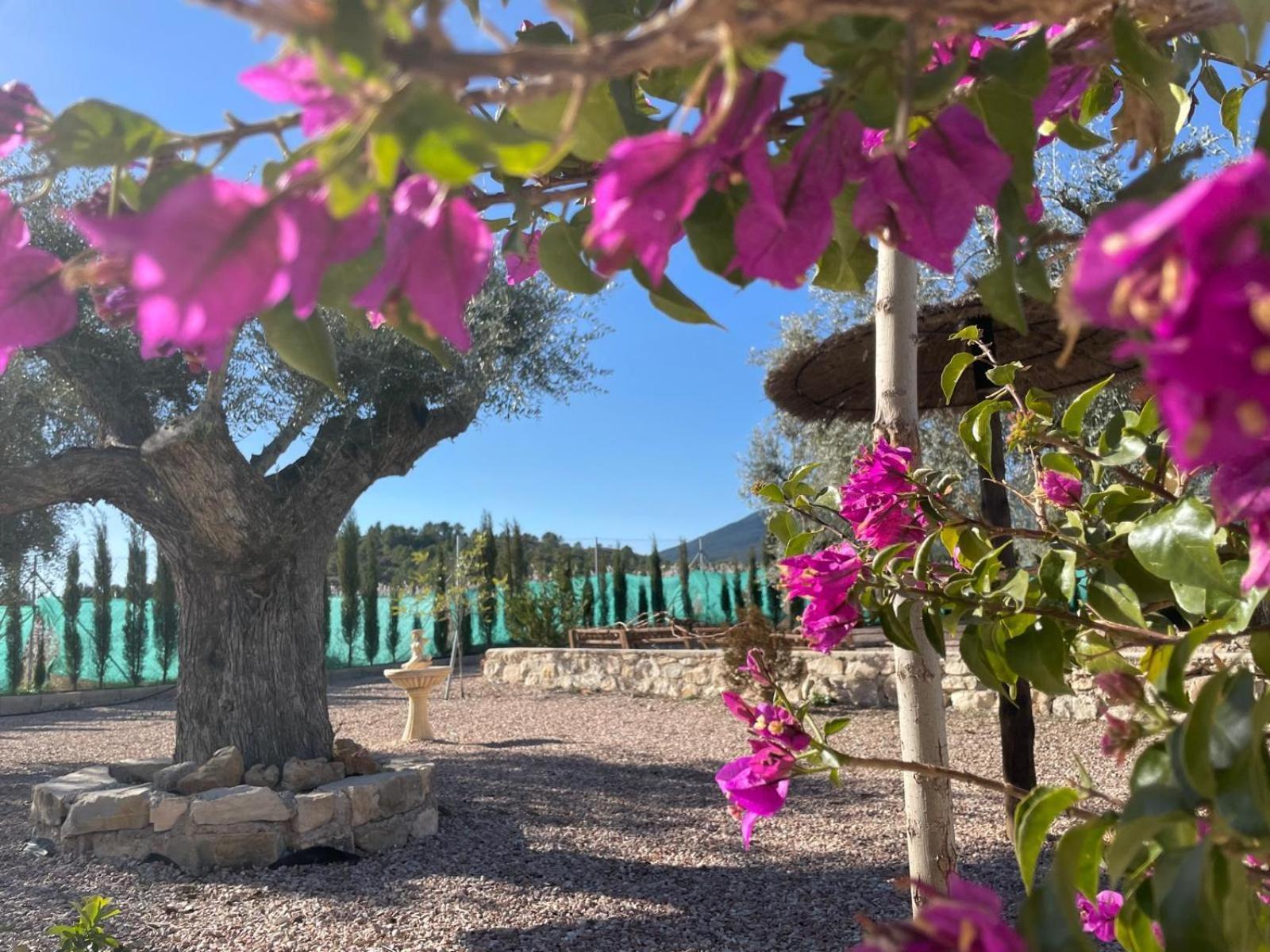 Casa de Antonio con piscina privada