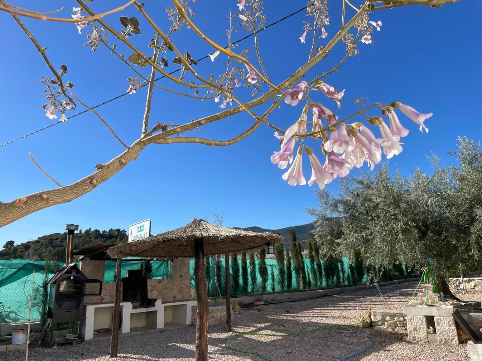Casa de Antonio con piscina privada