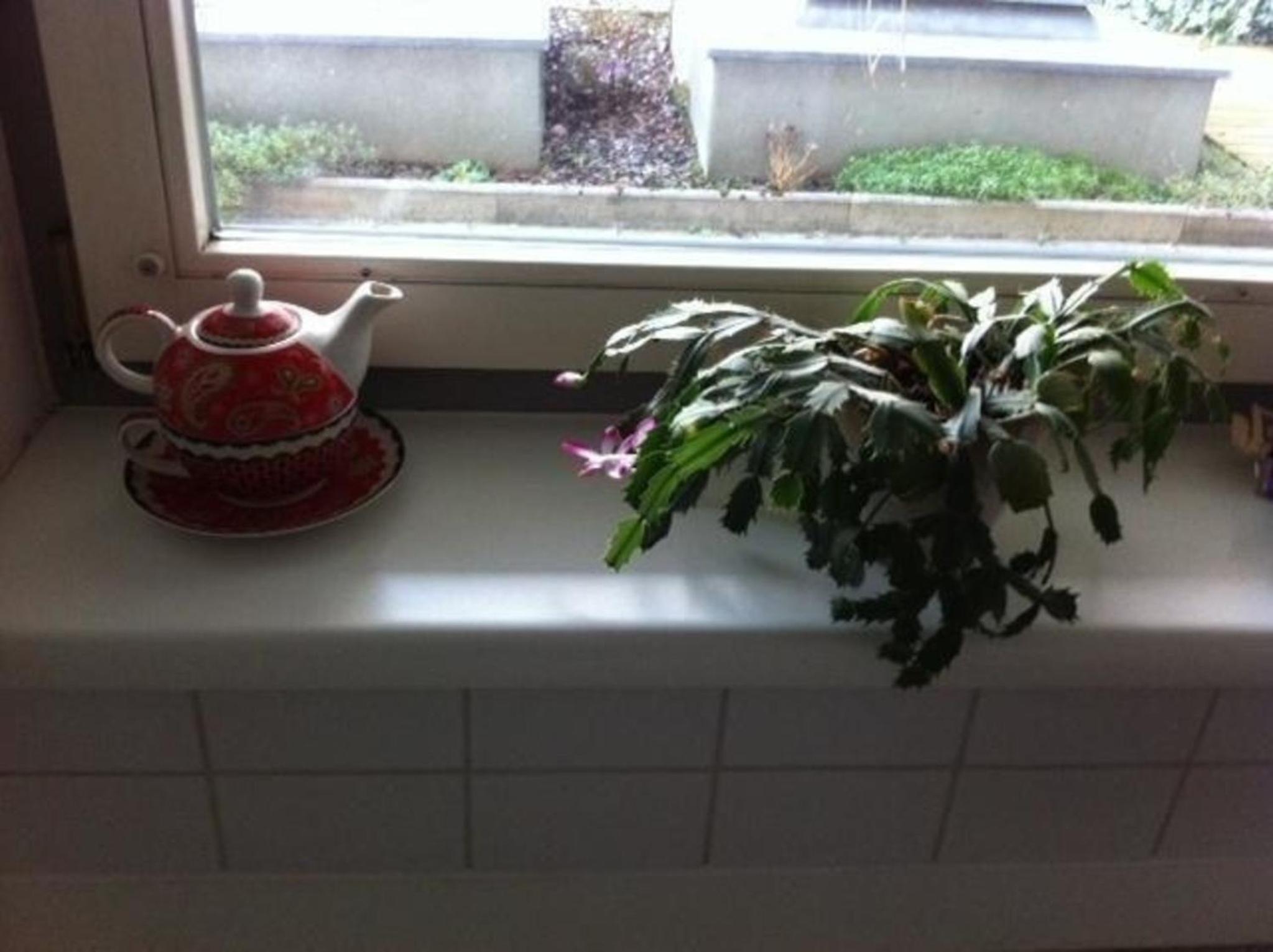 Ferienwohnung Terrassentraum in Bezirk 17-Hernals