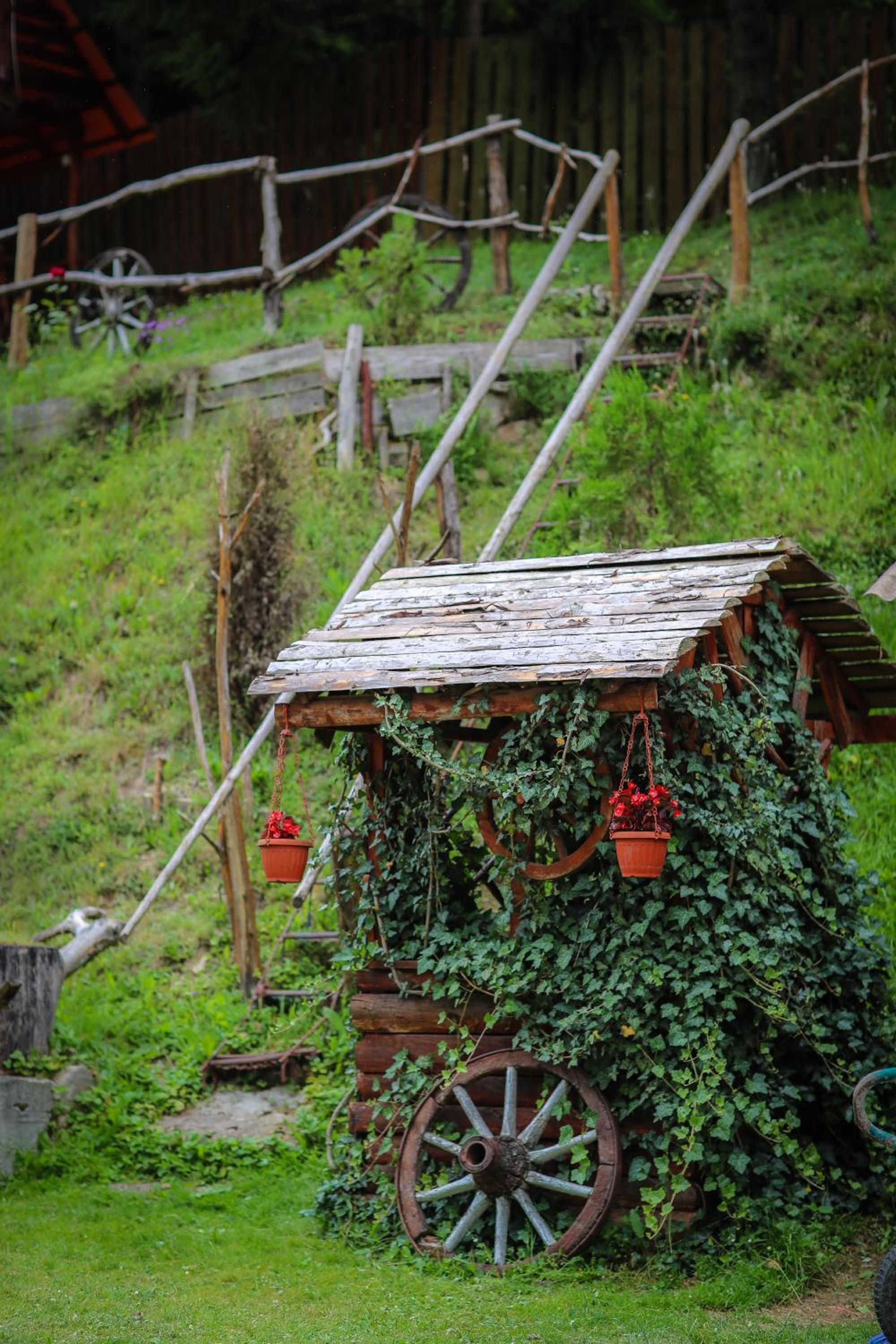 Photo 47