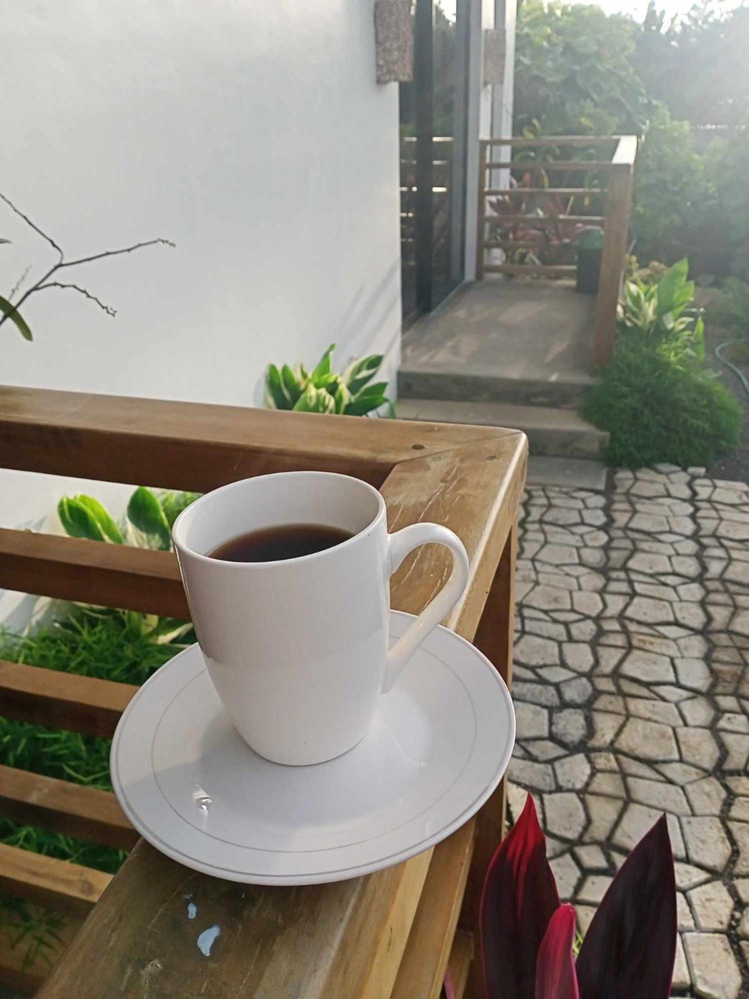 Nephthys homestay