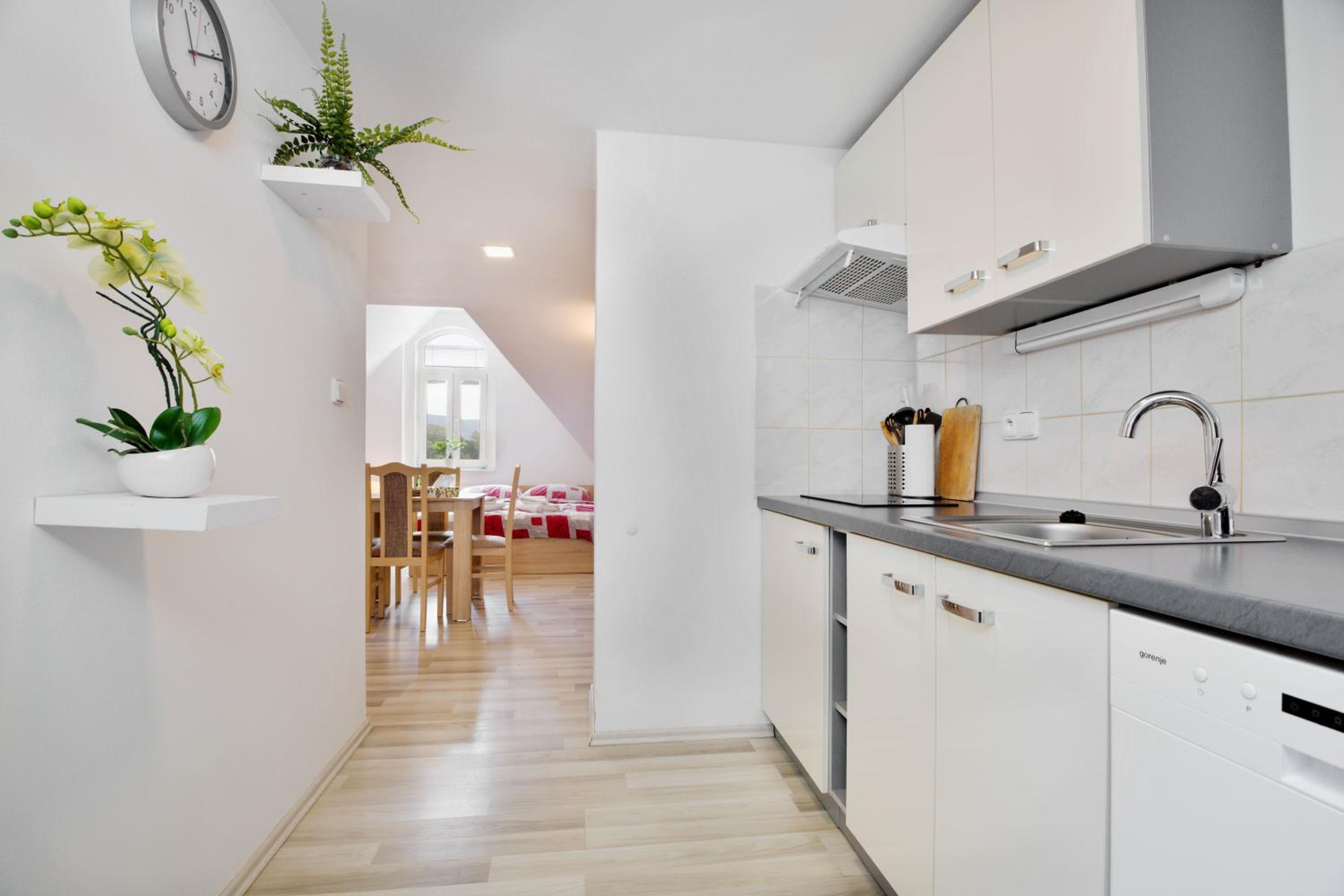 Apartmány Děčín view 4