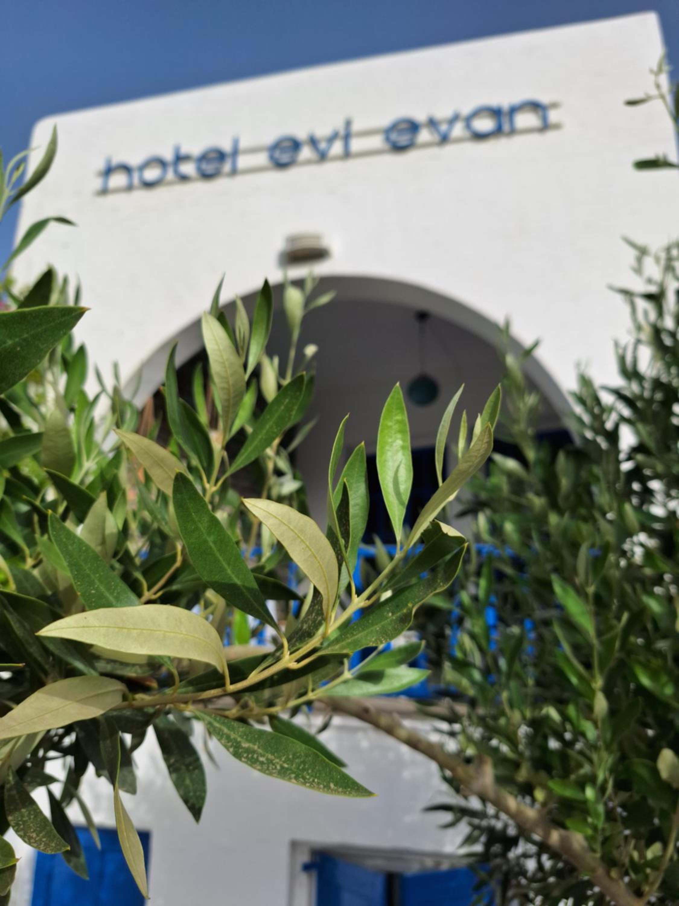Hotel Εvi Evan Hotel - Image 1