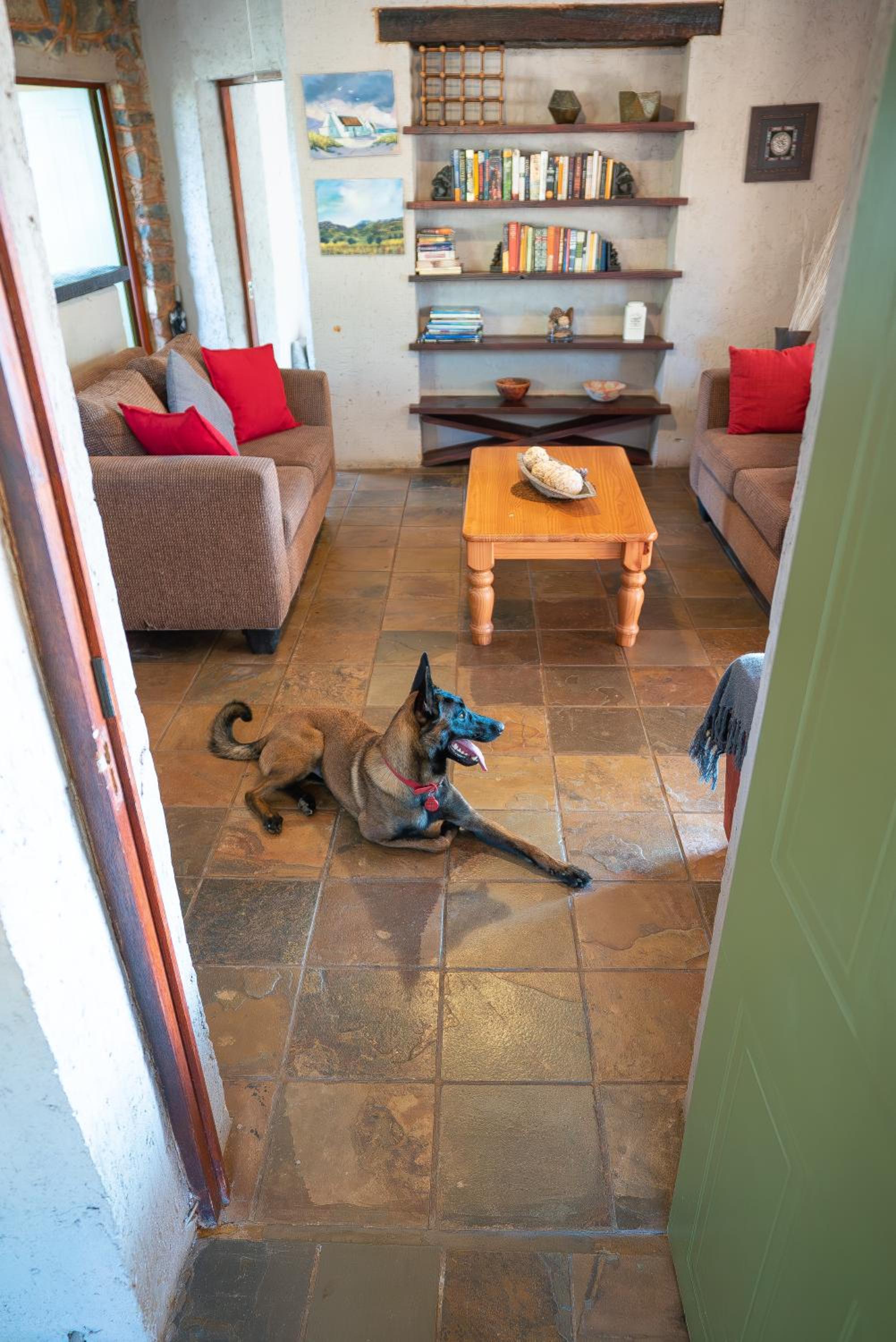 Photo 24