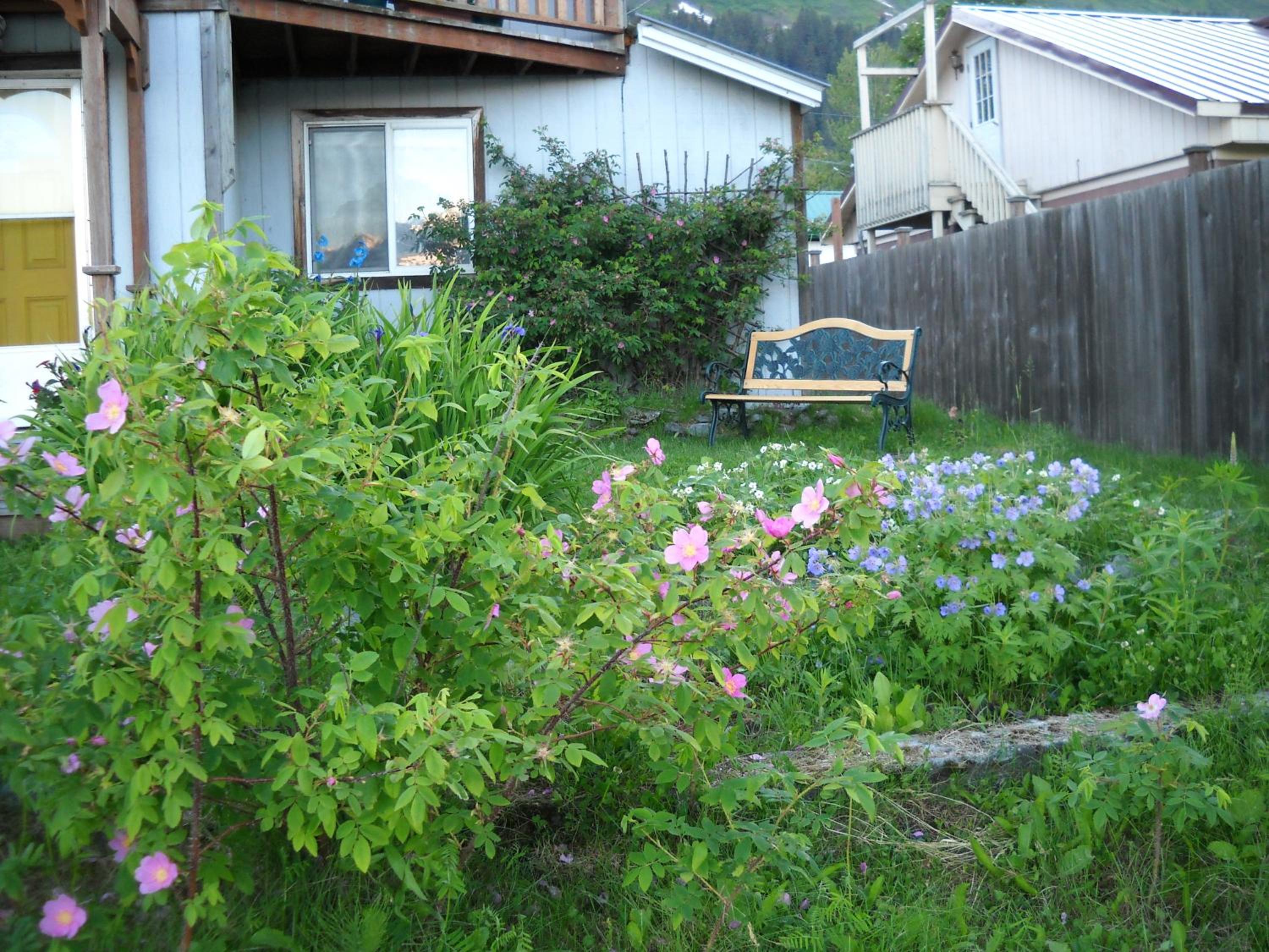 Photo 6