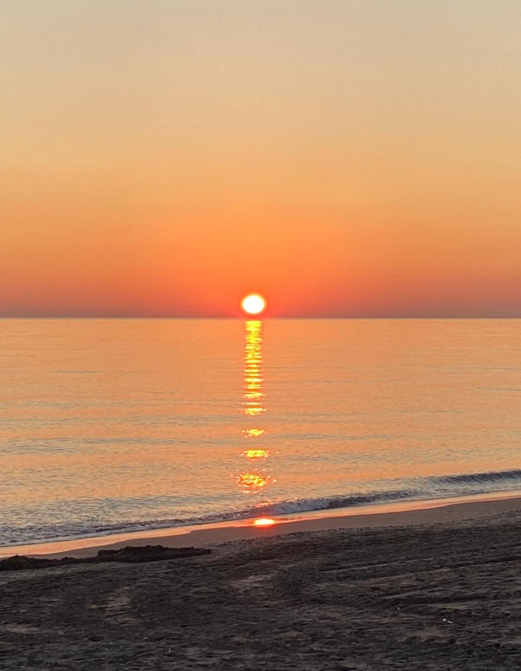 Estrella de Mar