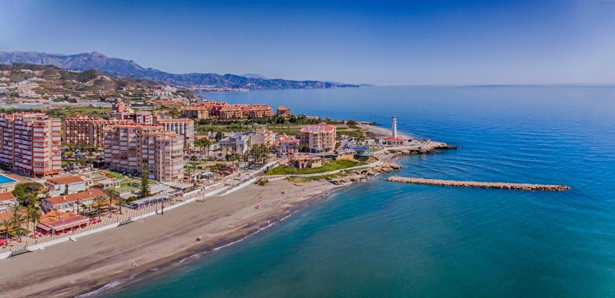 Estrella de Mar
