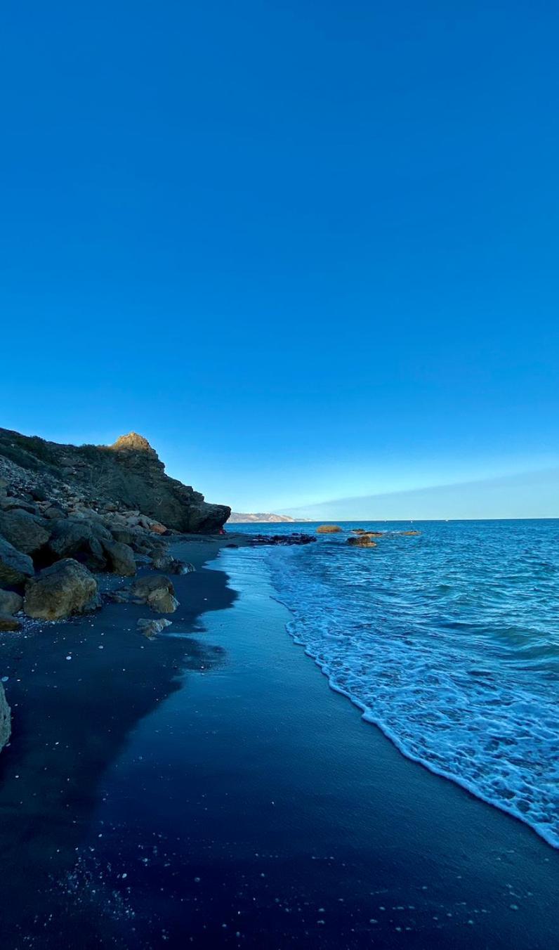 Estrella de Mar