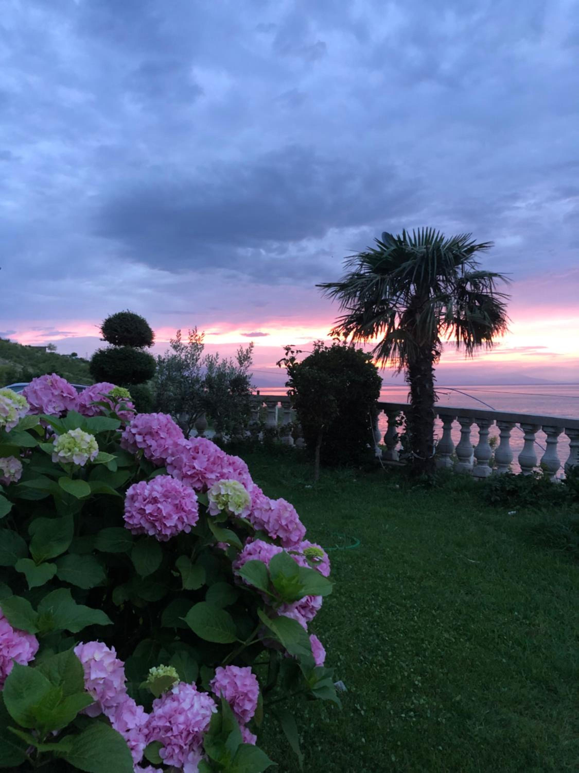 Bella Vista