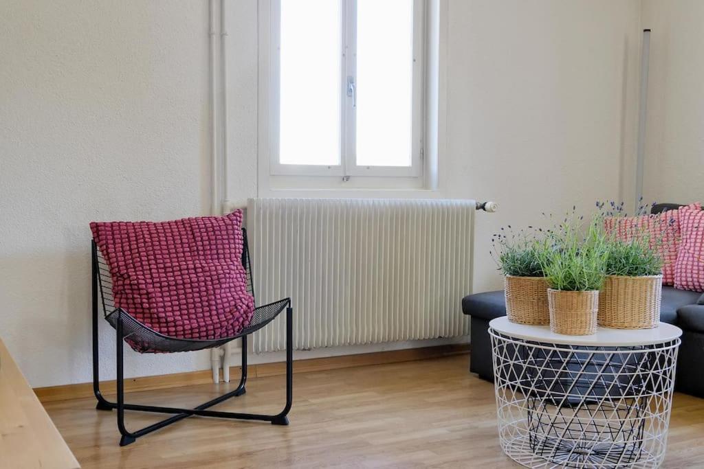 Dein Haus für den Zürich-Trip!