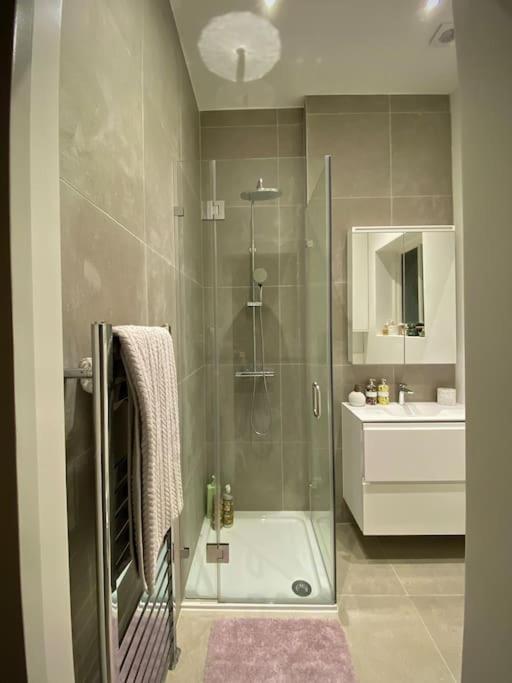 Luxury 2-Bed Flat with Garden in Hampstead Mansion