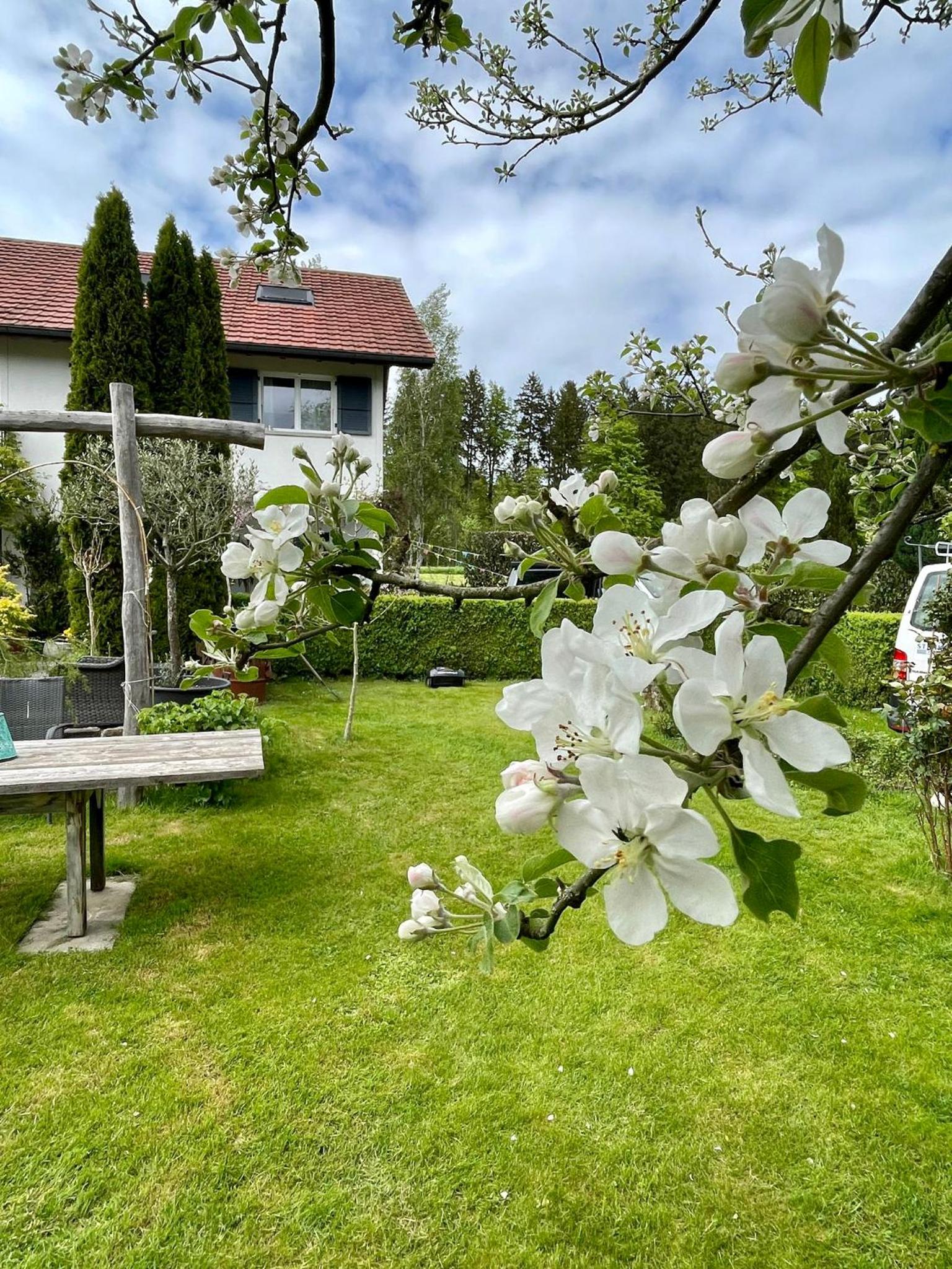Casa Infantino - Ein Haus der Ruhe und Inspiration