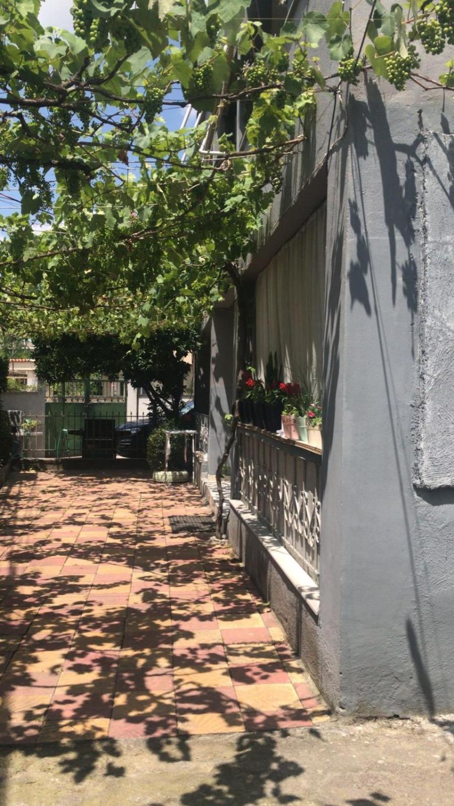 Green Door House Tirana