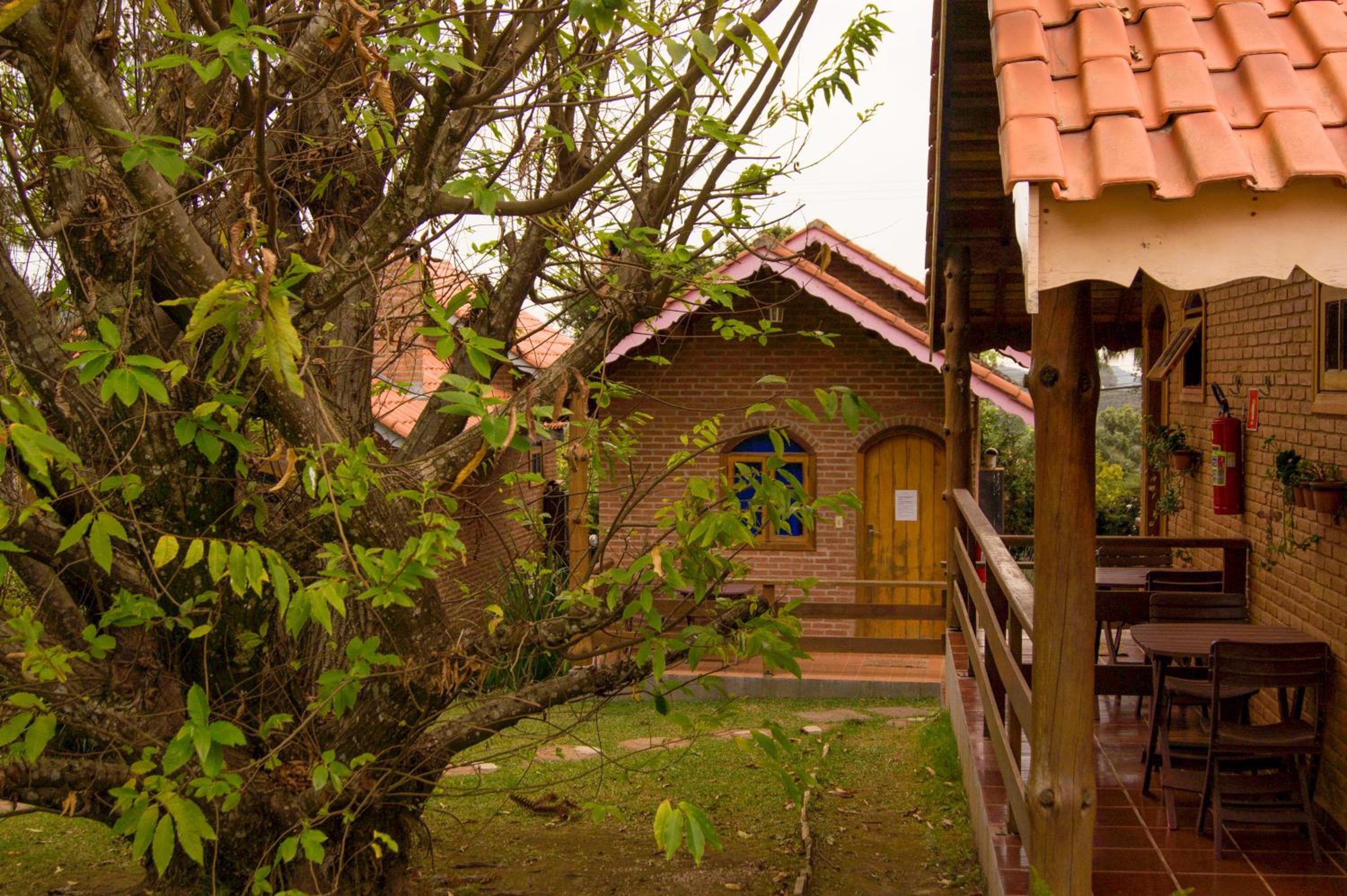 Photo 43