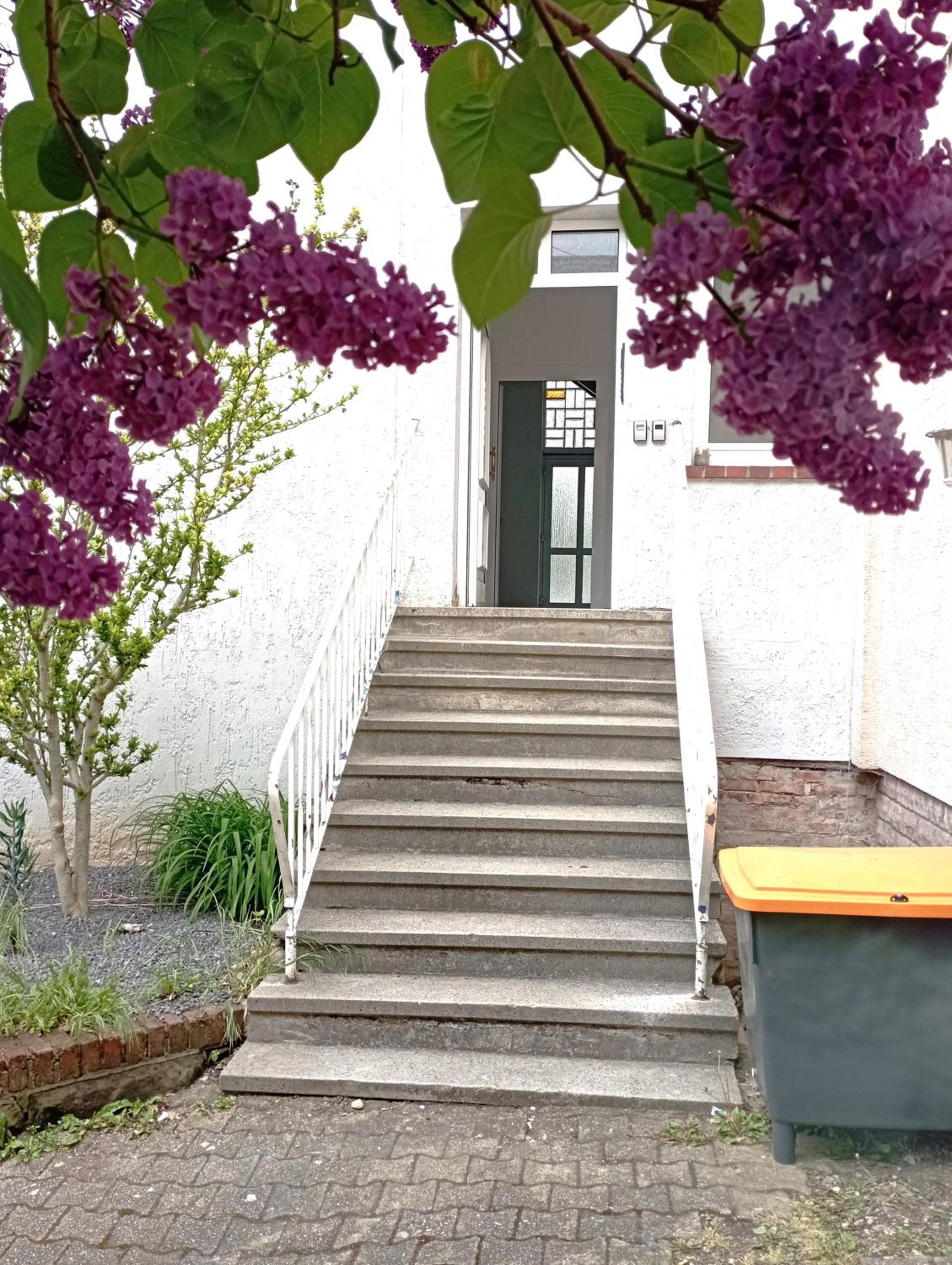 Monteurwohnung große Luise view 5