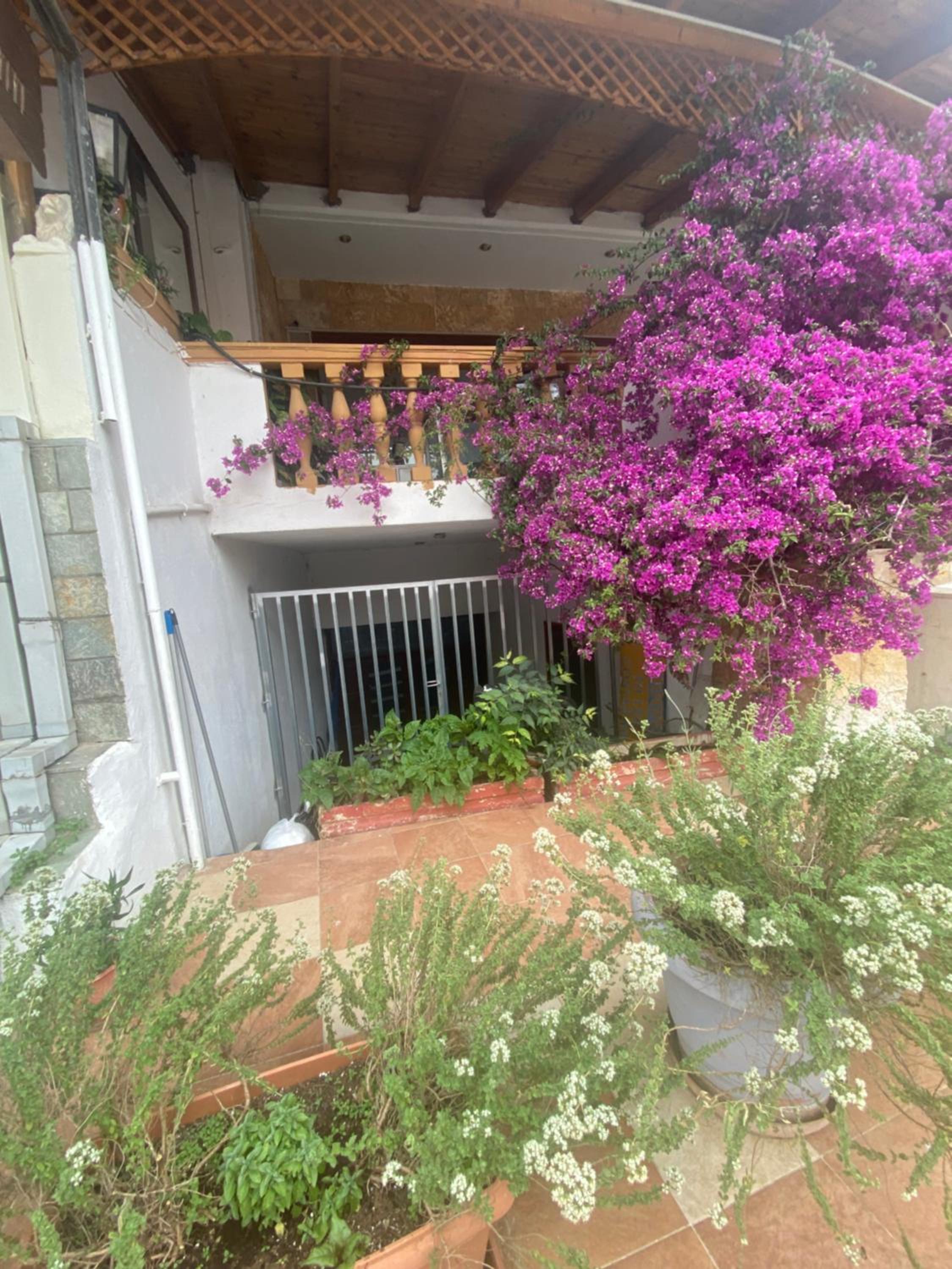 Costas Inn