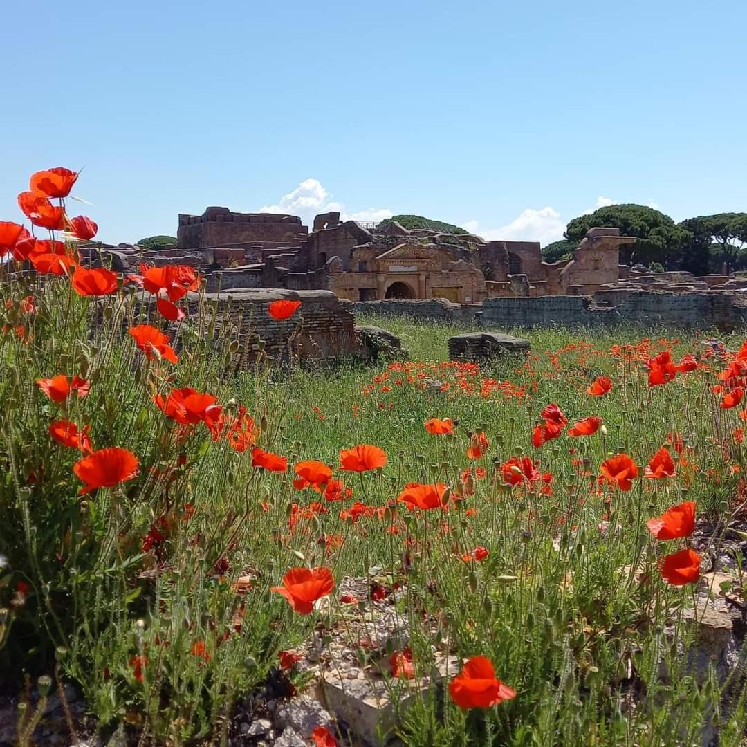 Il Casaletto di Simonetta