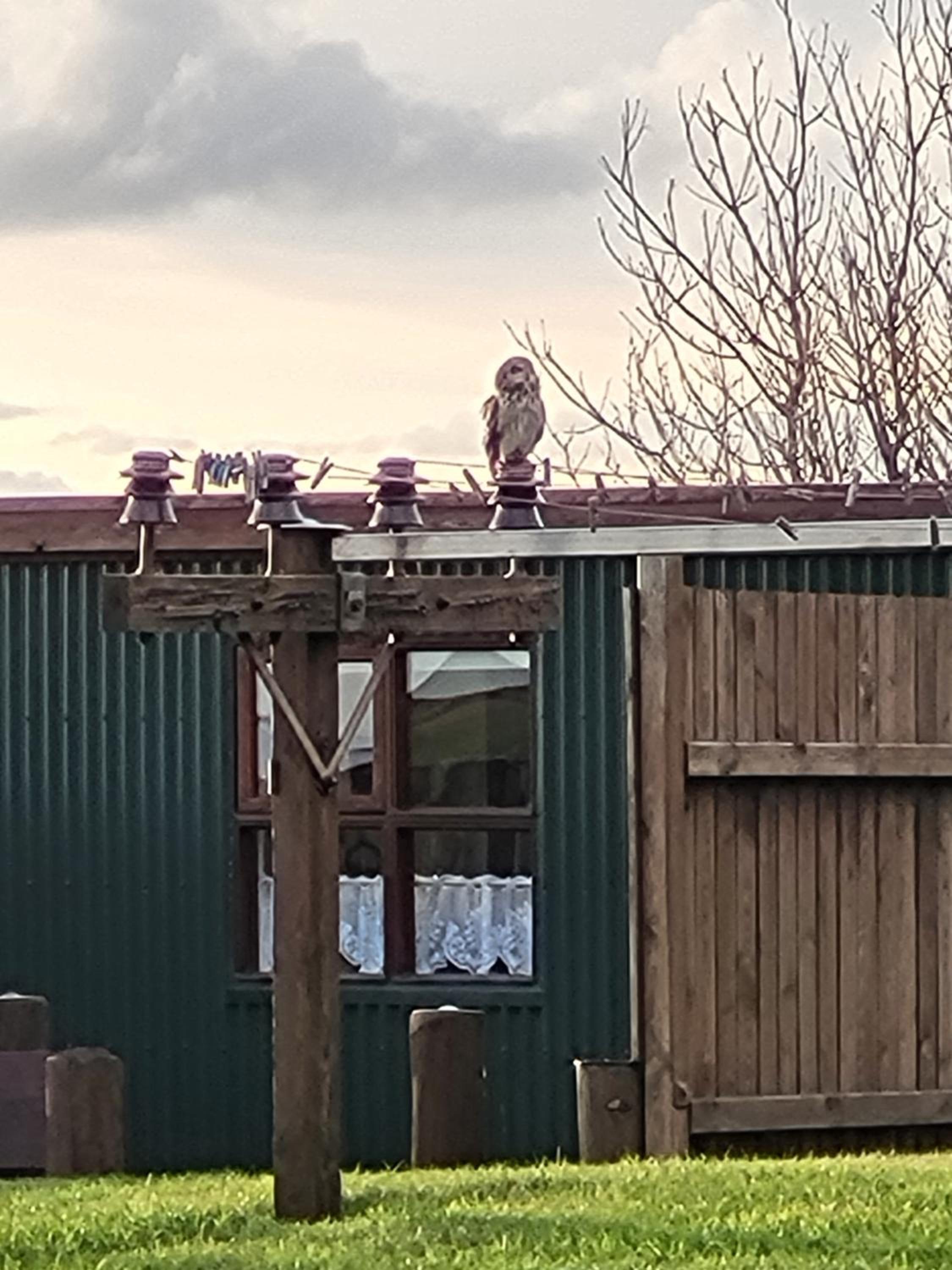 Vonarland hús með einu svefnherbergi