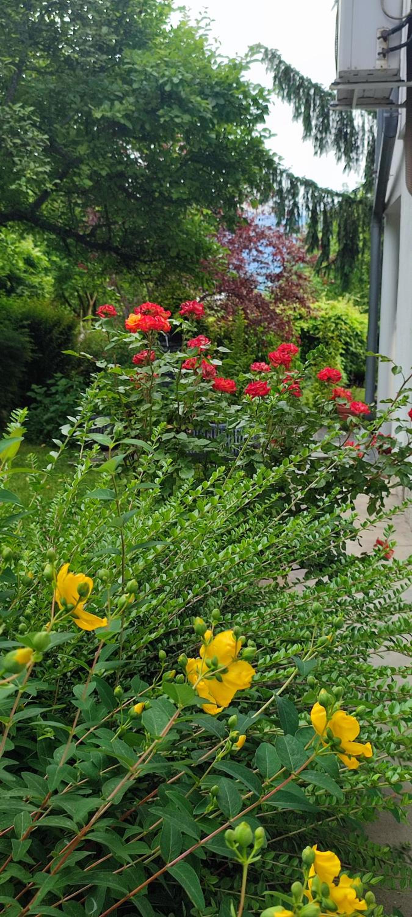 Garden House