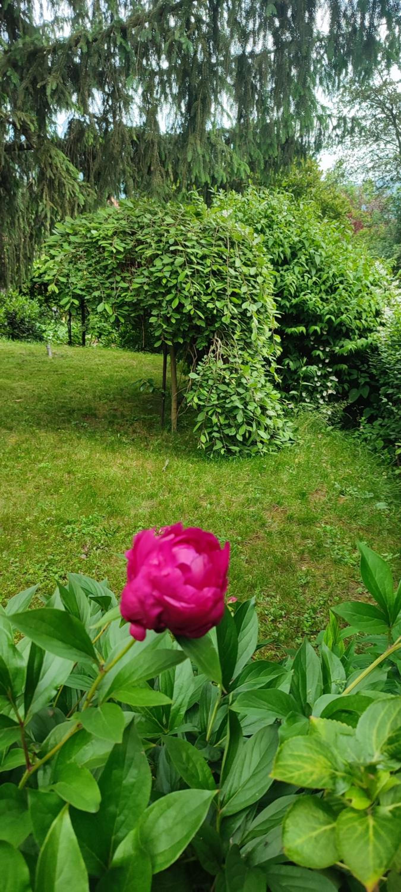 Garden House