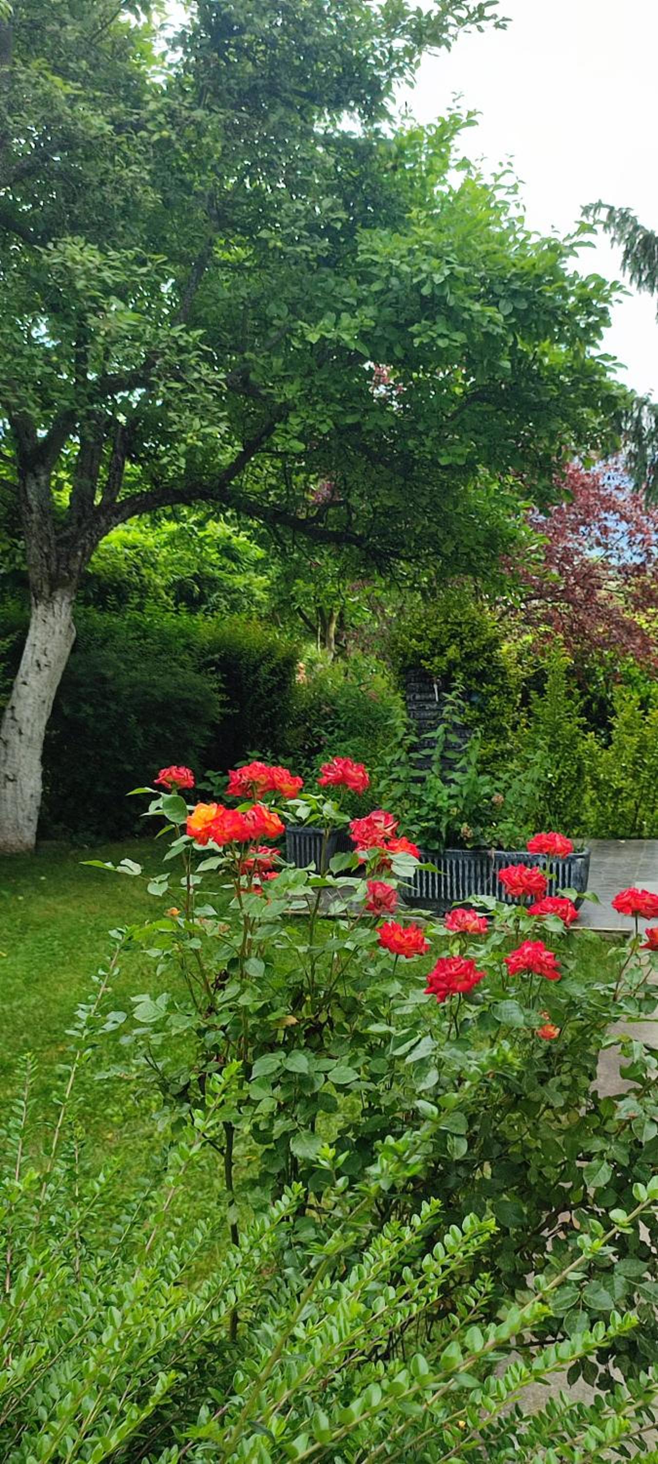 Garden House