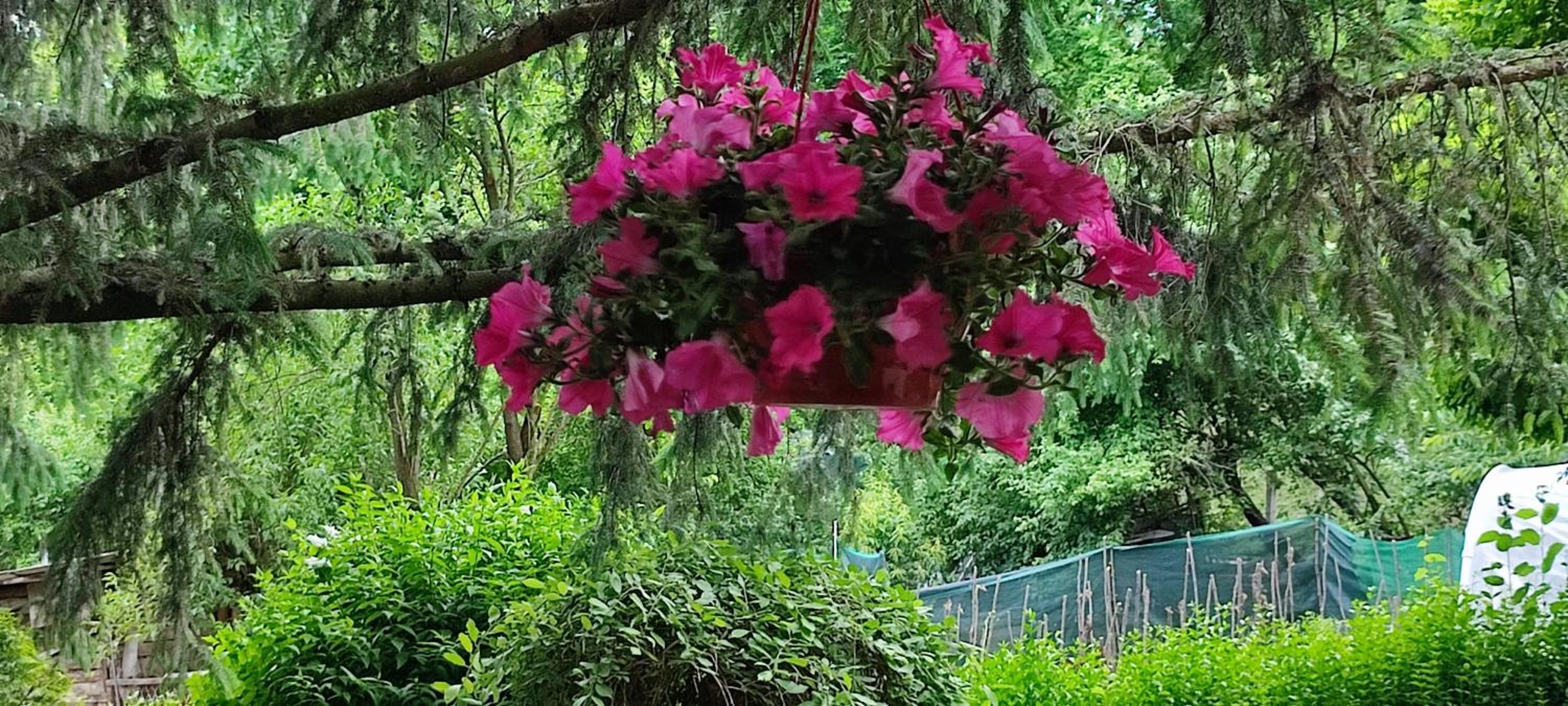 Garden House
