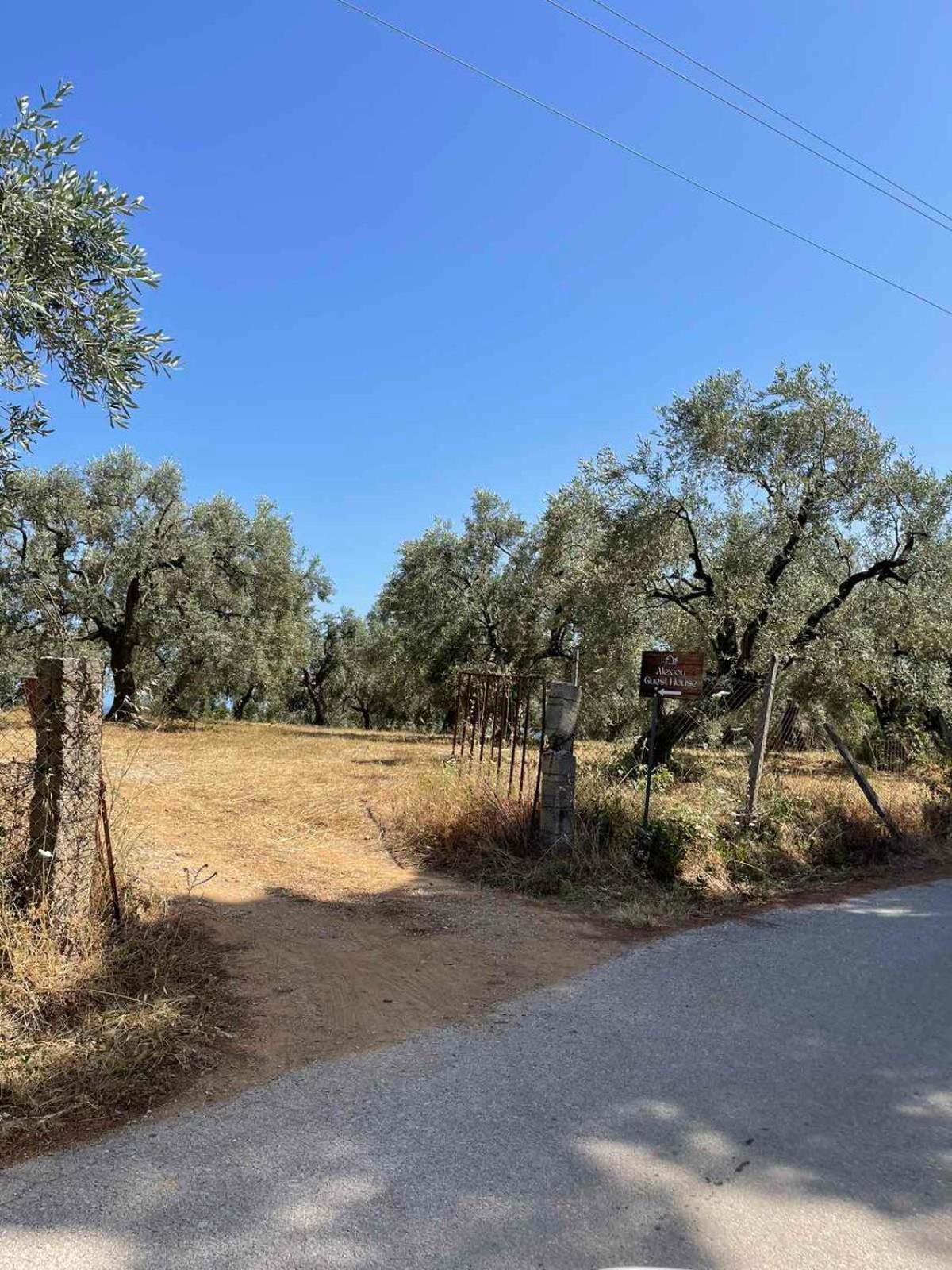 Alexiou Guesthouse Pilion Katigiorgis