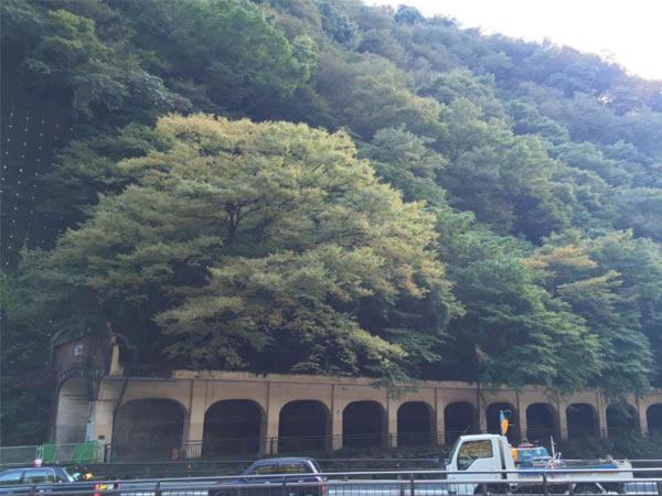 Masutomi Ryokan