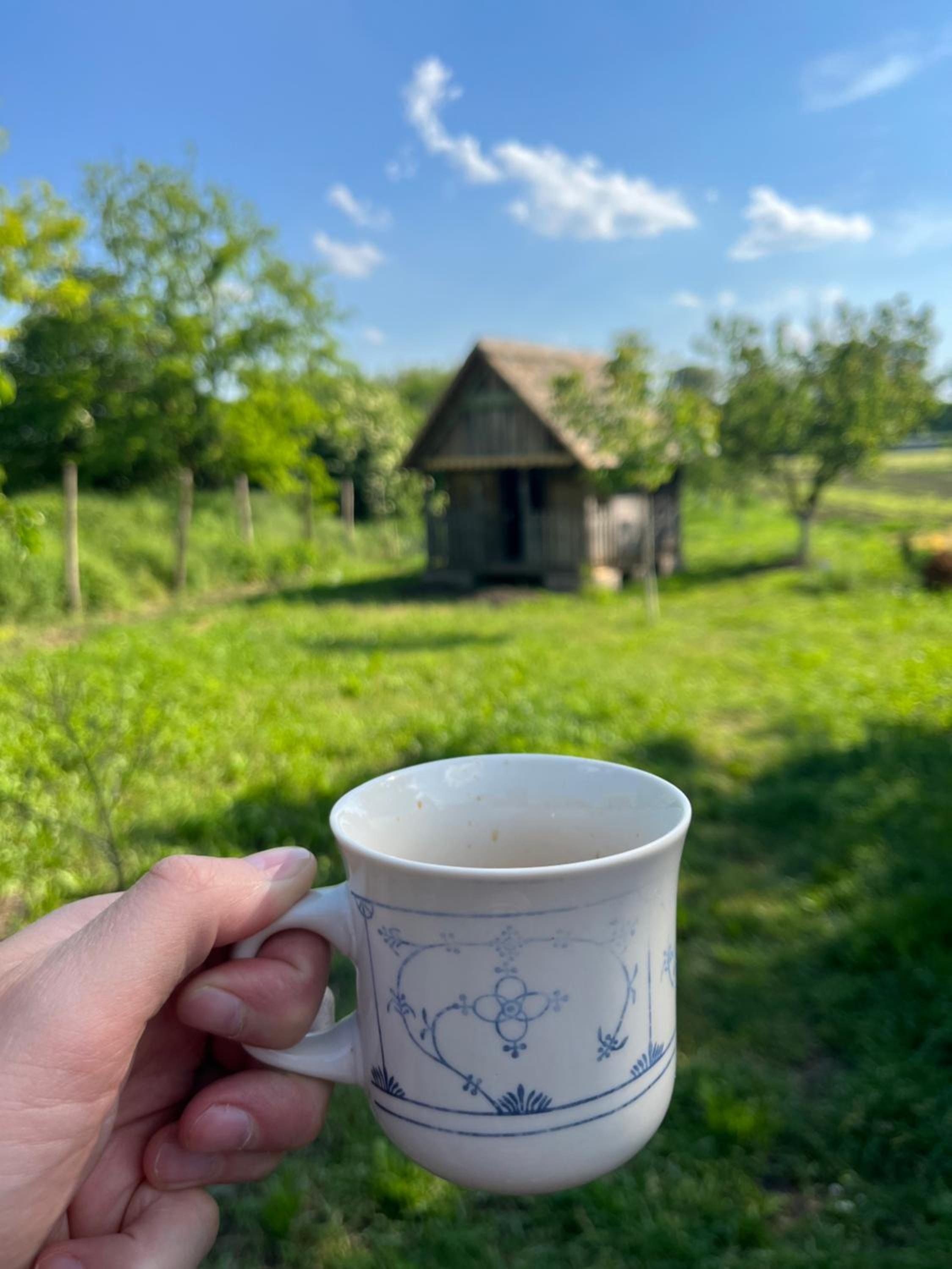 Photo 48