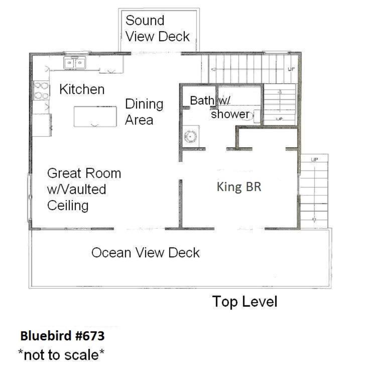 Bluebird