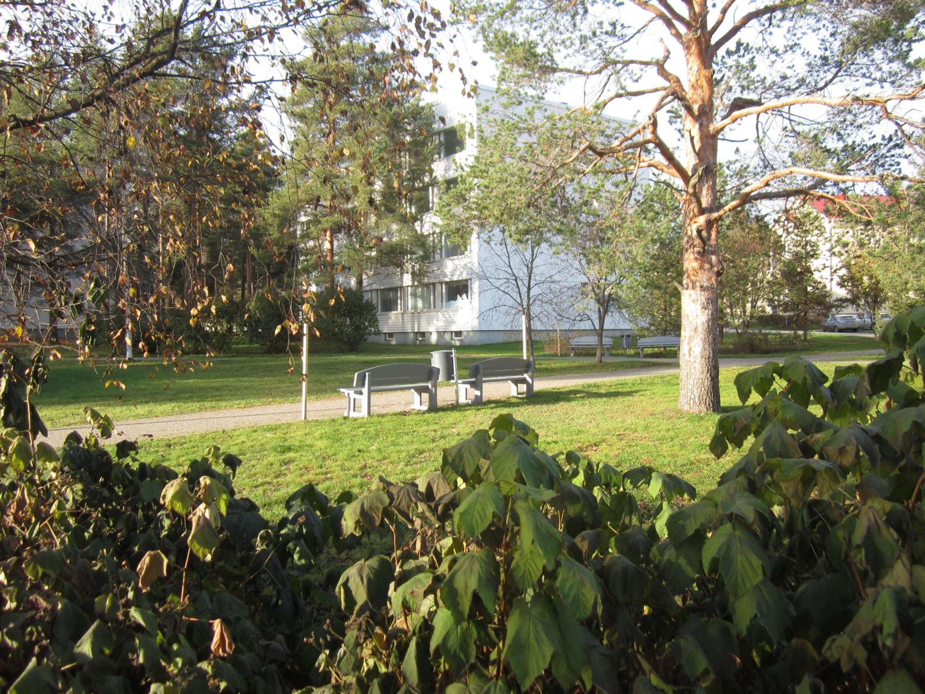 Photo 24