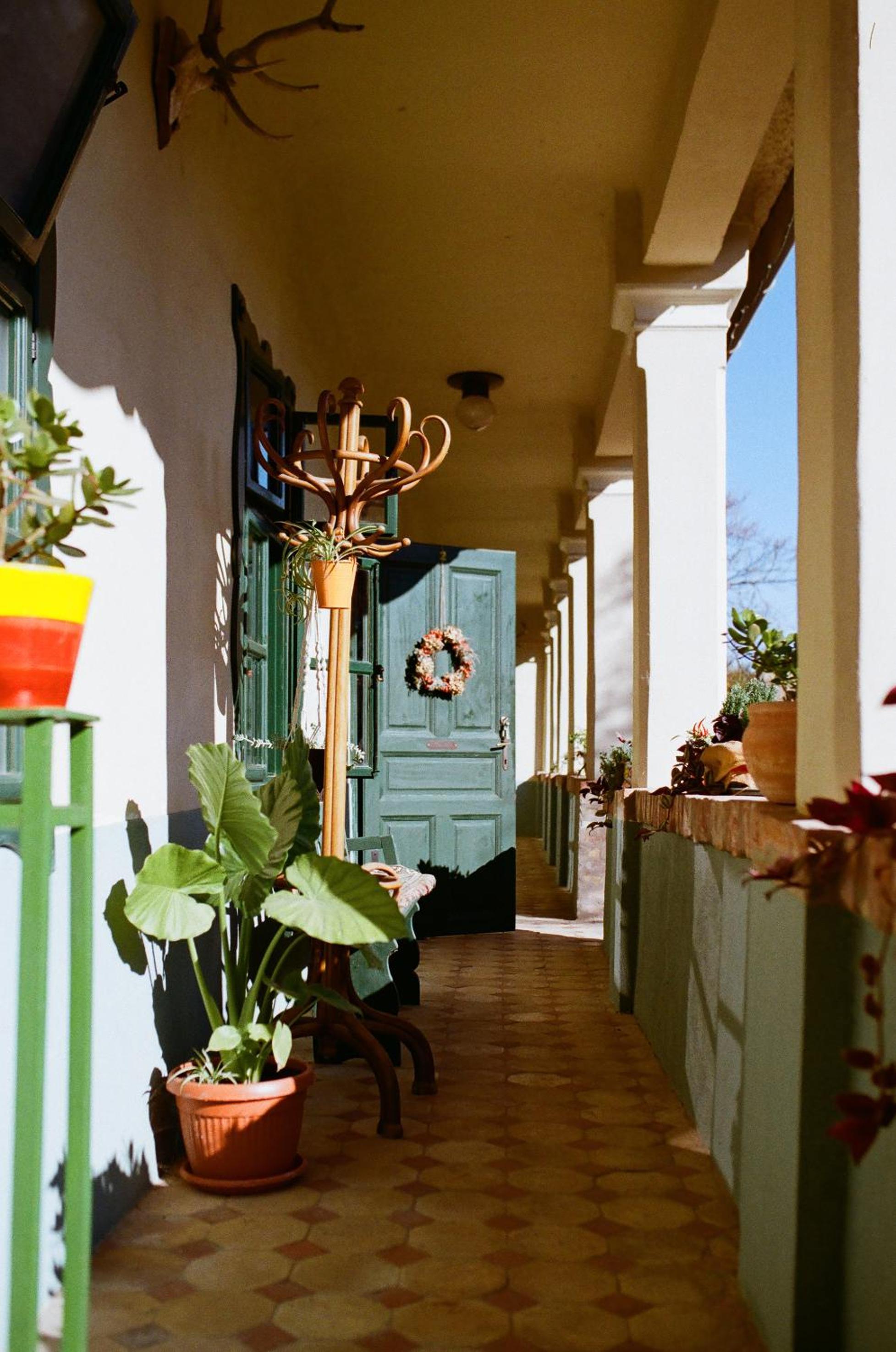 Tradicionalna Kuća Biljkinog oca view 4