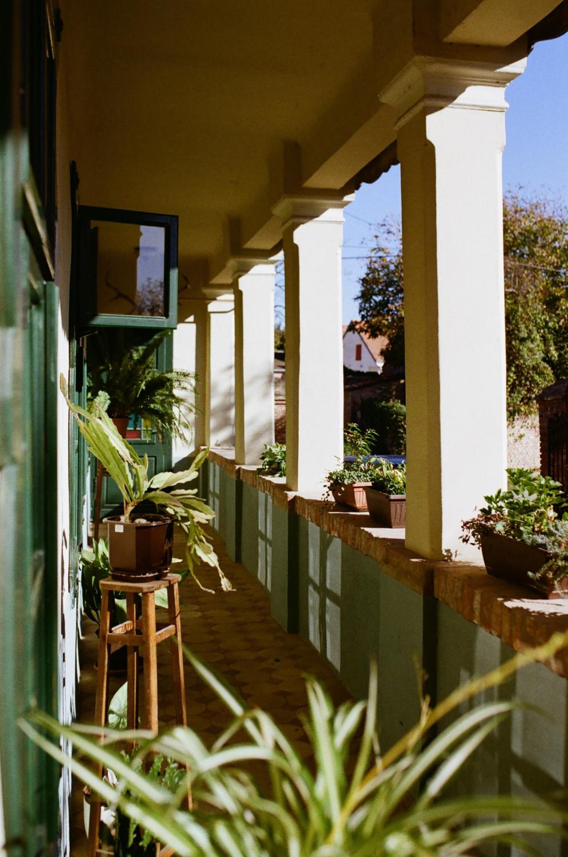 Tradicionalna Kuća Biljkinog oca view 3